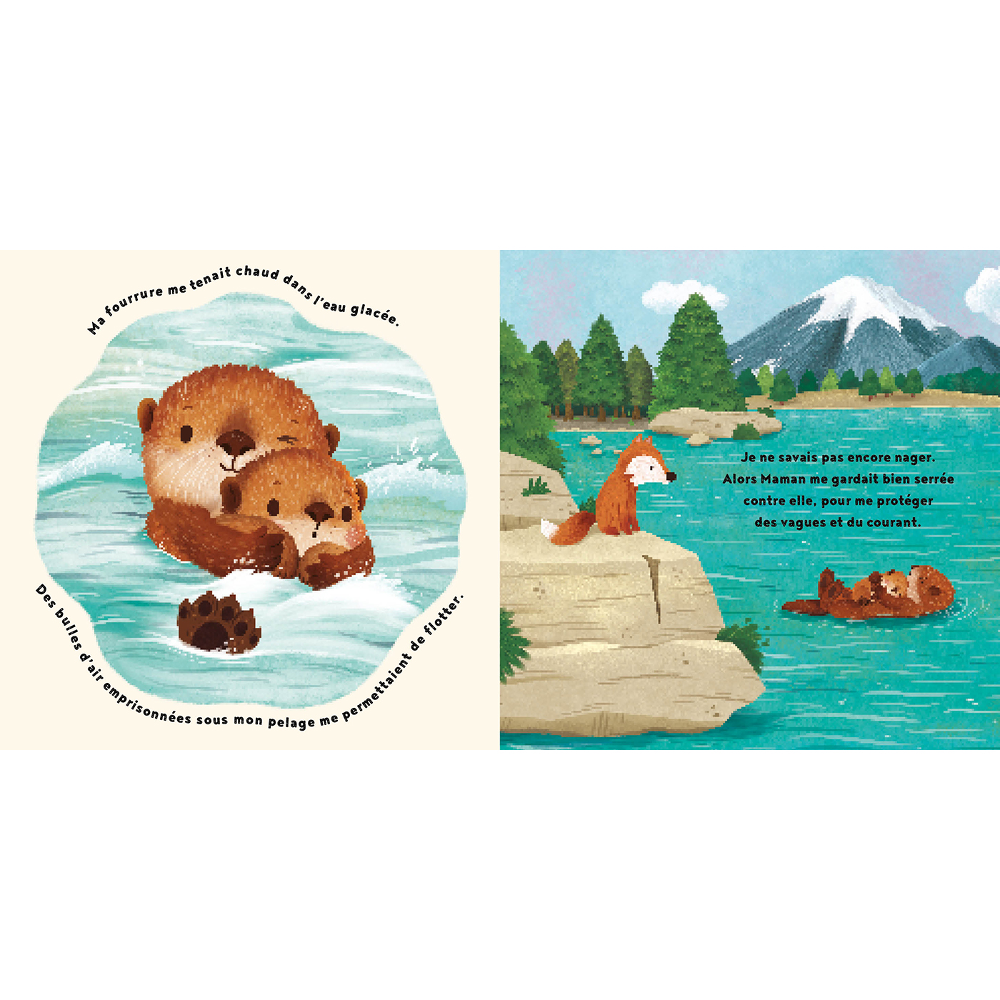 LA PETITE LOUTRE LA PETITE LOUTRE