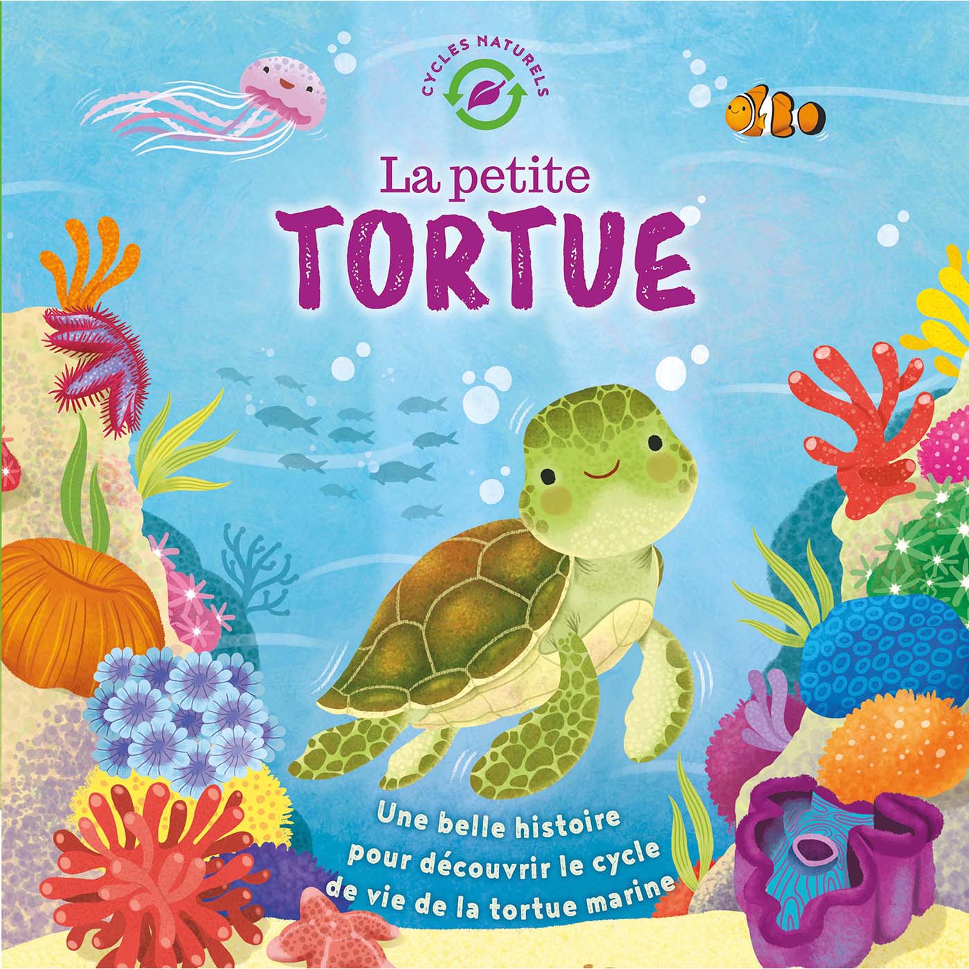 LA PETITE TORTUE 