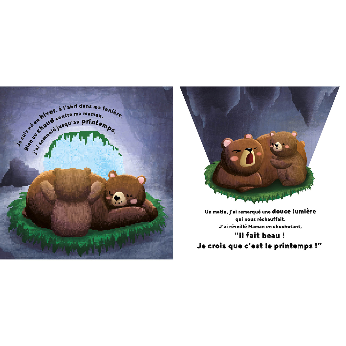 LE PETIT OURS
