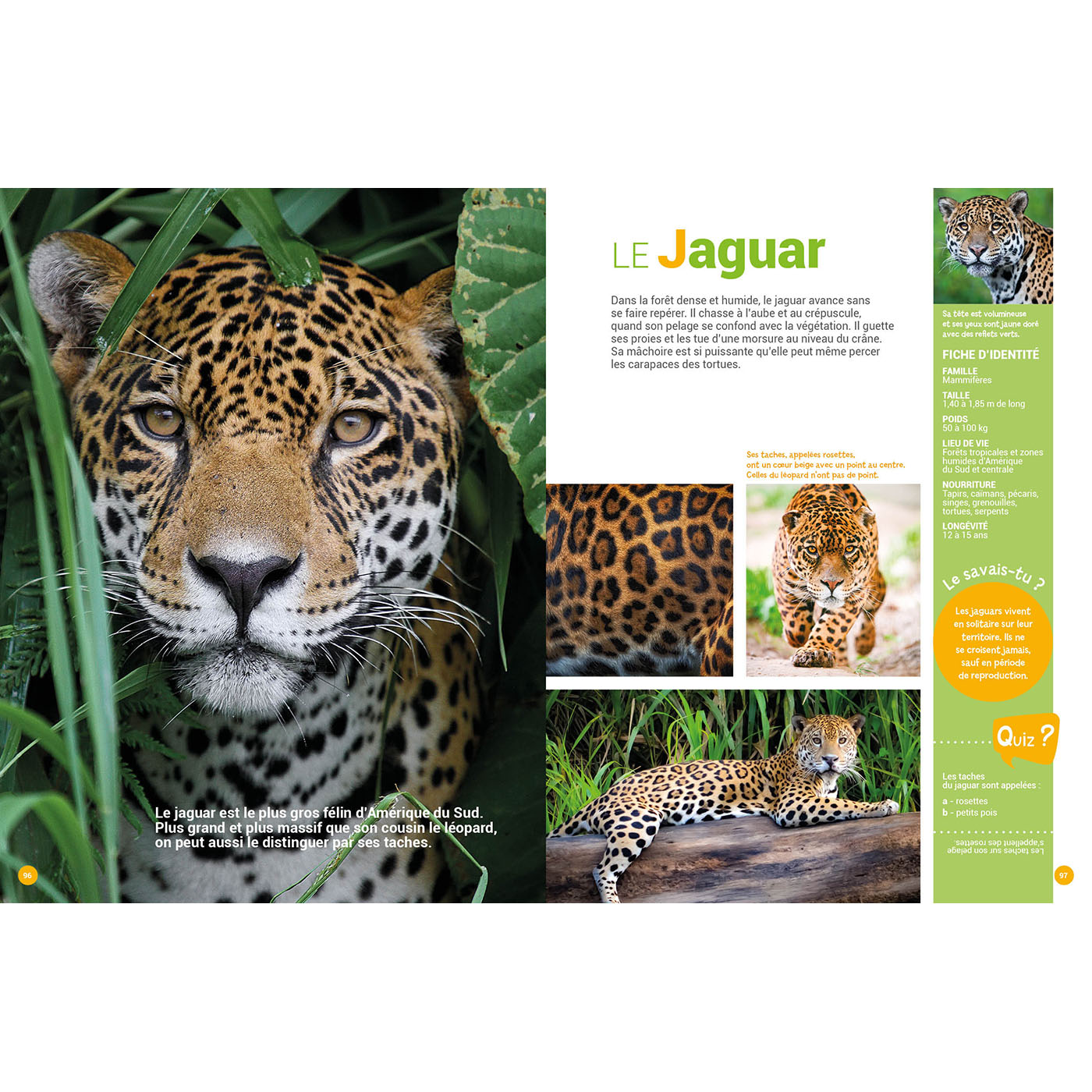 MON ENCYCLO DES ANIMAUX MON ENCYCLO DES ANIMAUX