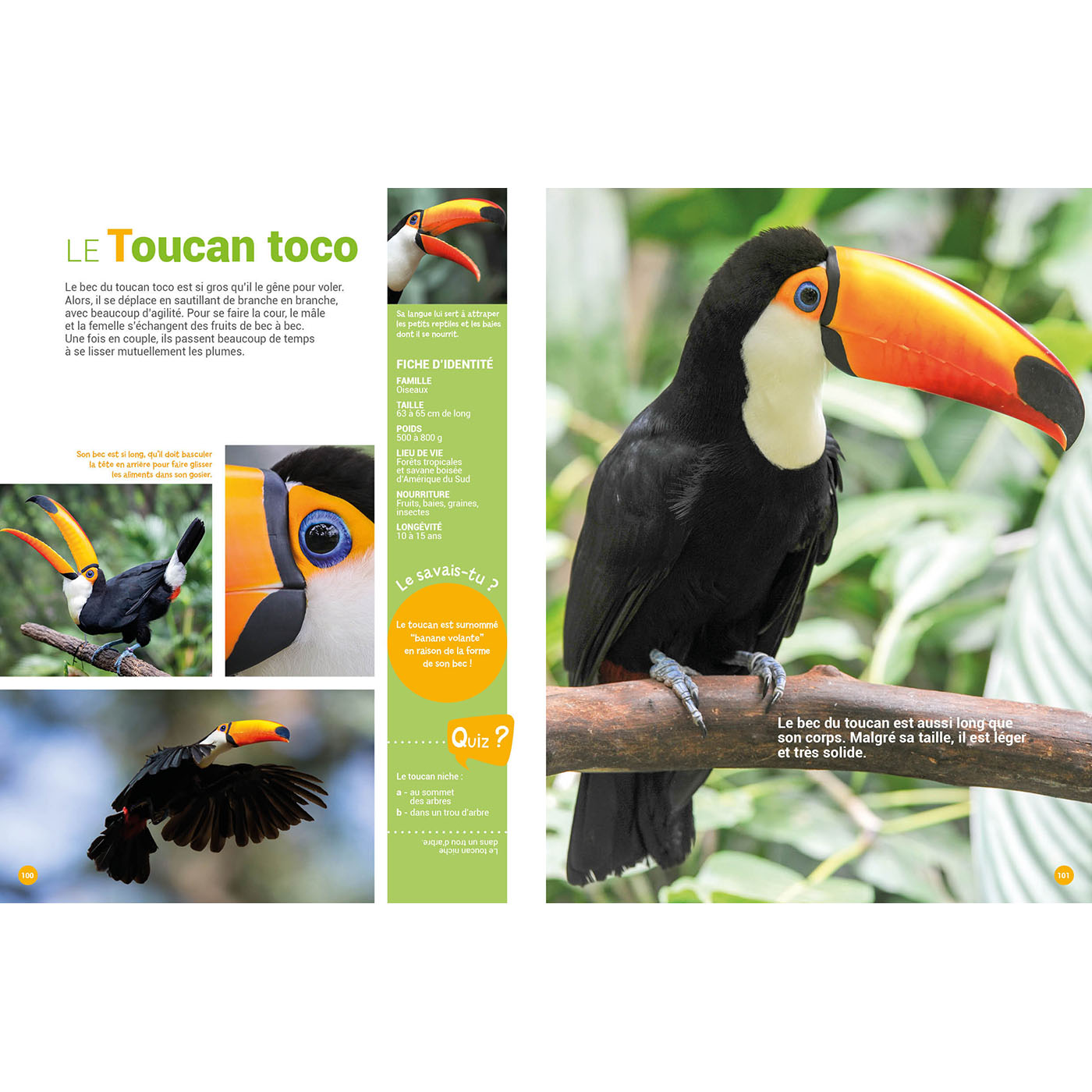 MON ENCYCLO DES ANIMAUX