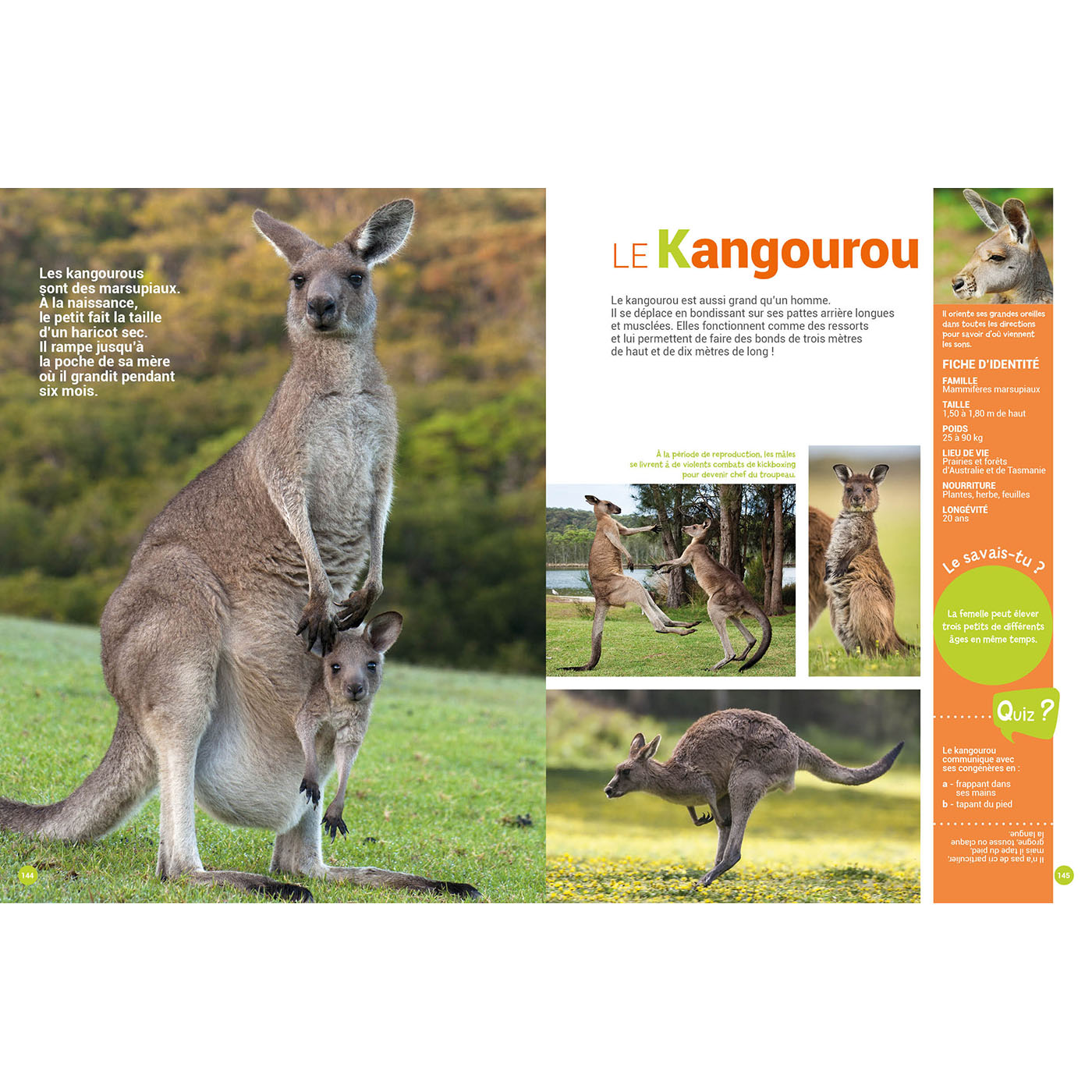 MON ENCYCLO DES ANIMAUX