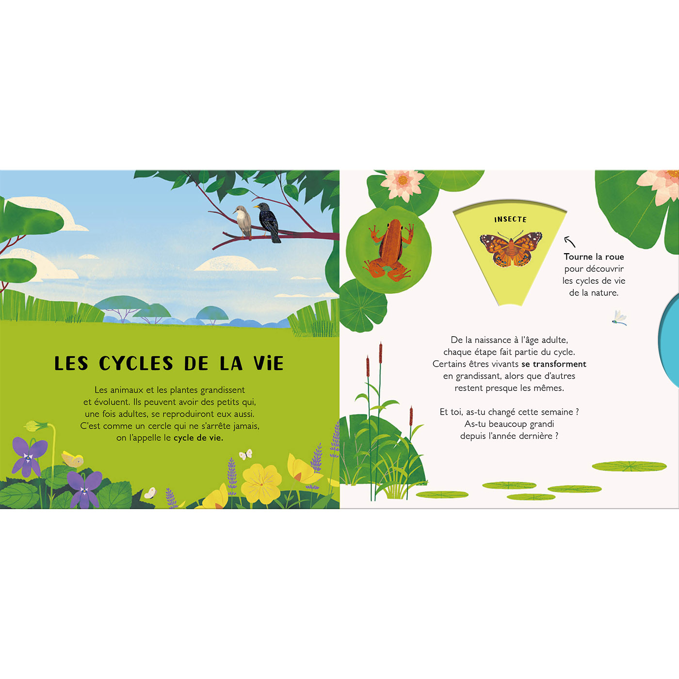 LES CYCLES DE LA VIE - LES ANIMAUX ET LES PLANTES - 8 ROUES ET 18 FLAPS POUR DECOUVRIR LA NATURE