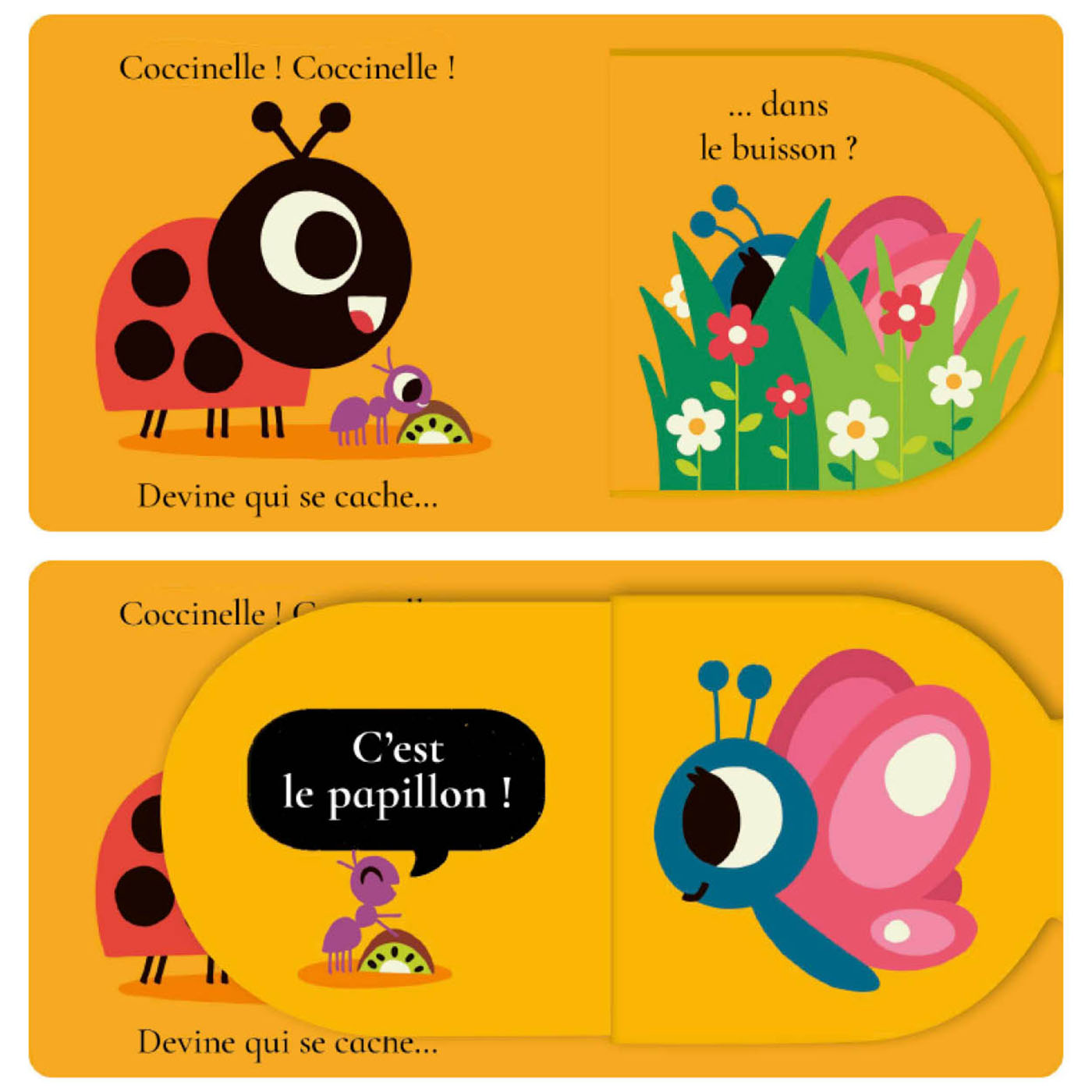 COCCINELLE COCCINELLE, DEVINE QUI SE CACHE ? COCCINELLE COCCINELLE, DEVINE QUI SE CACHE ?