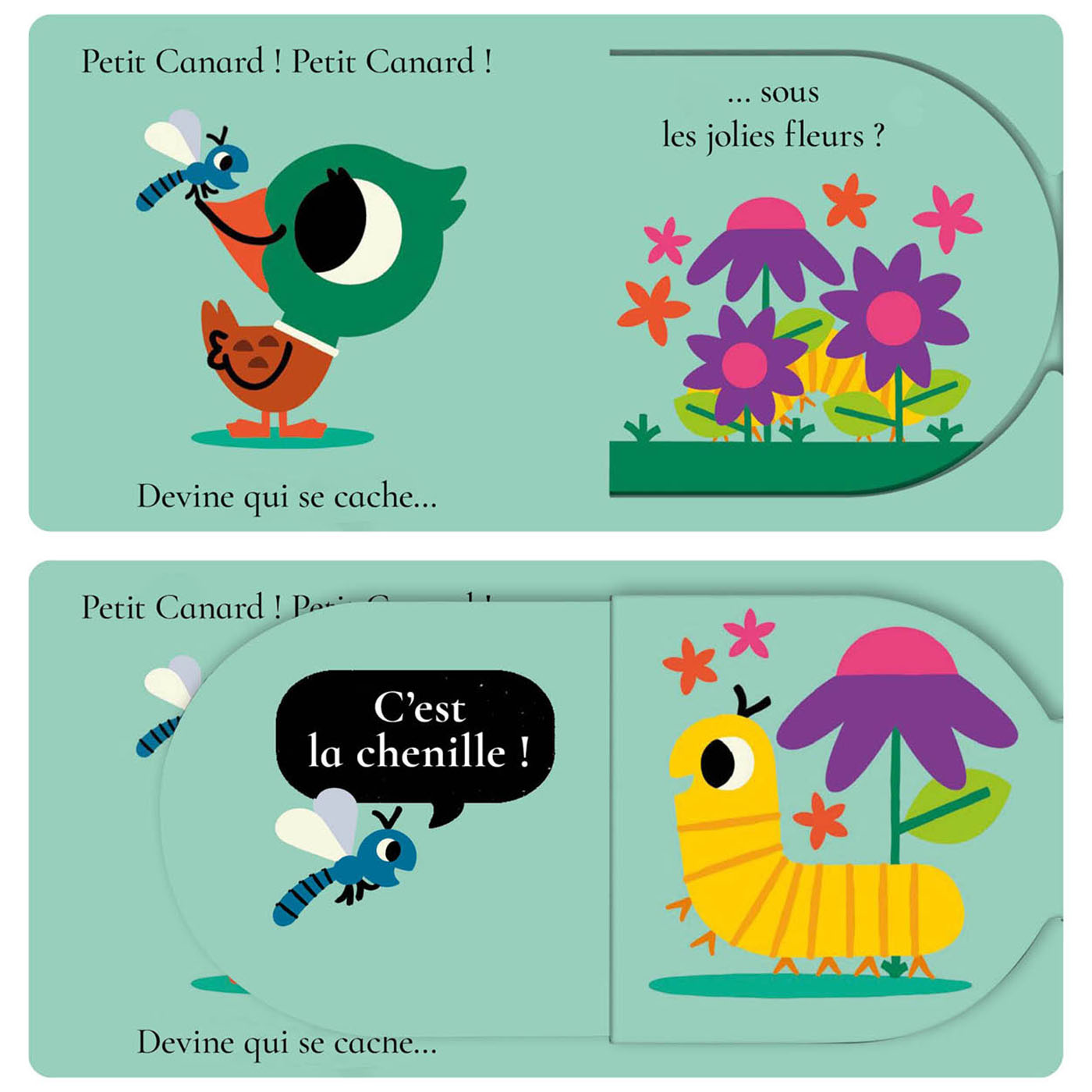 PETIT CANARD PETIT CANARD, DEVINE QUI SE CACHE ?