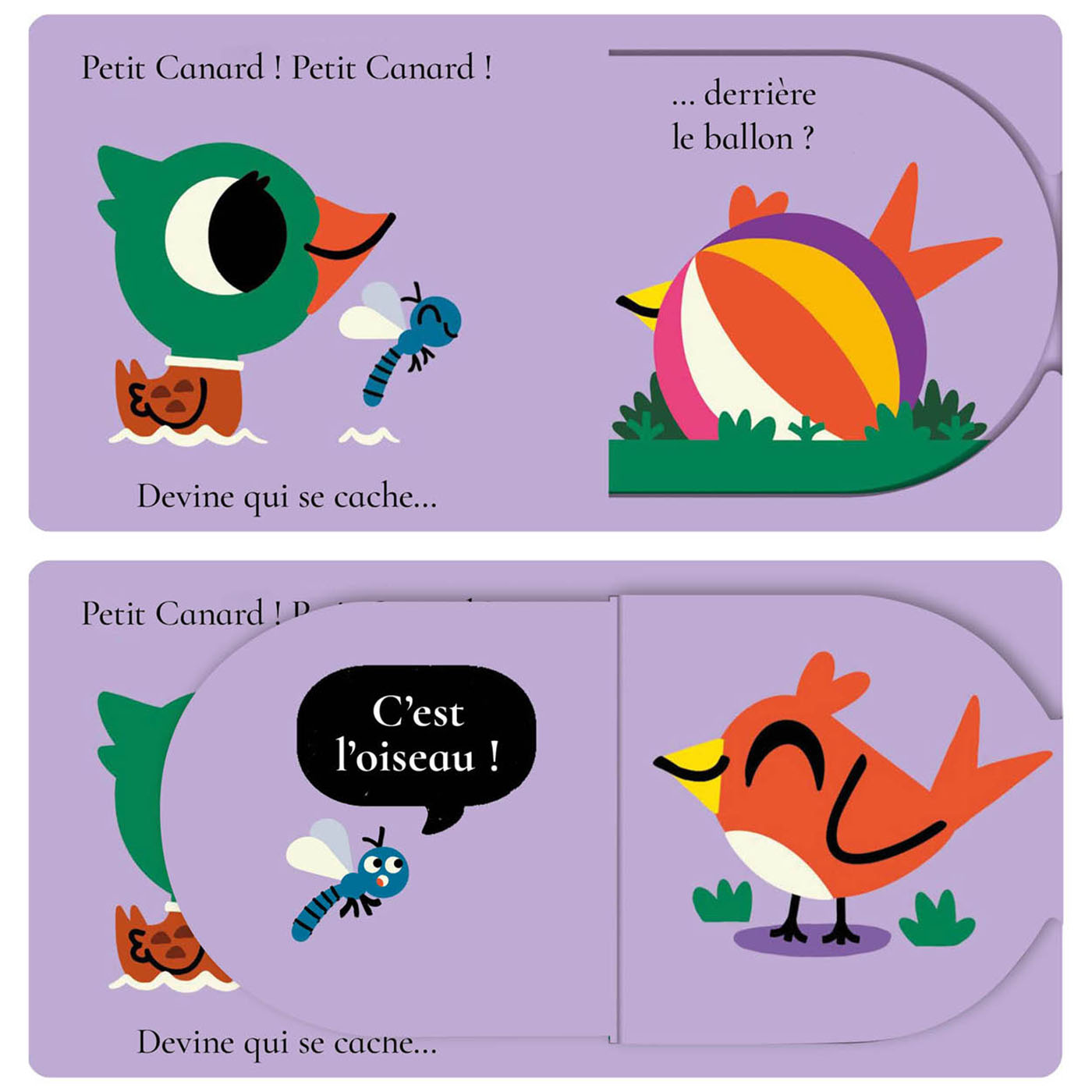 PETIT CANARD PETIT CANARD, DEVINE QUI SE CACHE ? PETIT CANARD PETIT CANARD, DEVINE QUI SE CACHE ?