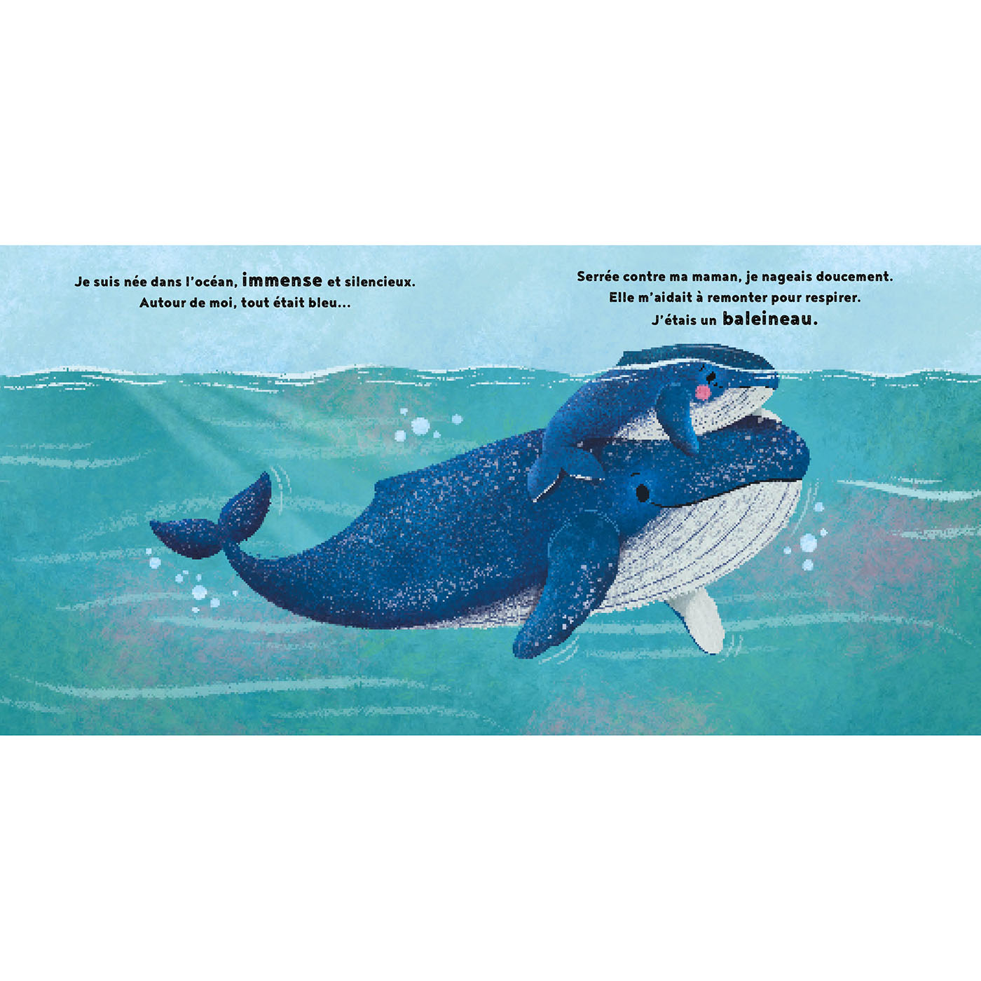 LA PETITE BALEINE