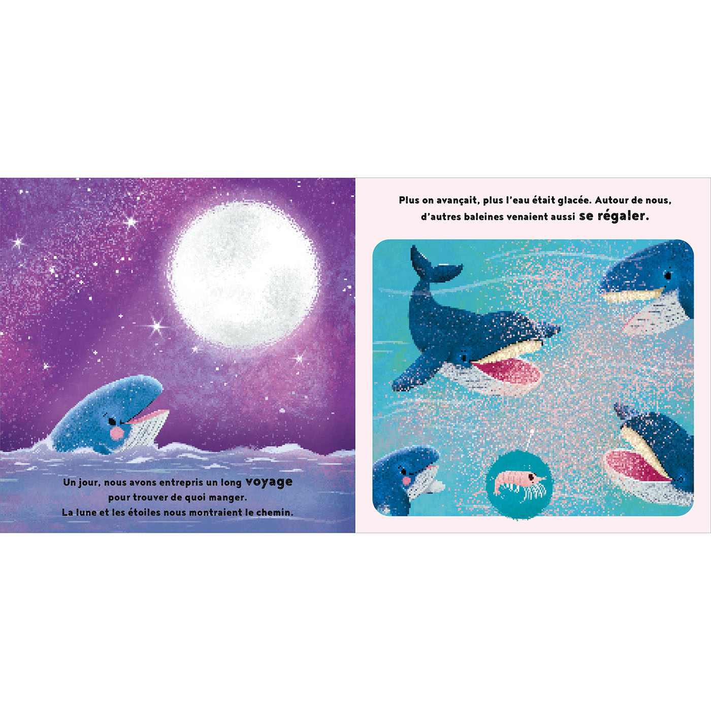 LA PETITE BALEINE