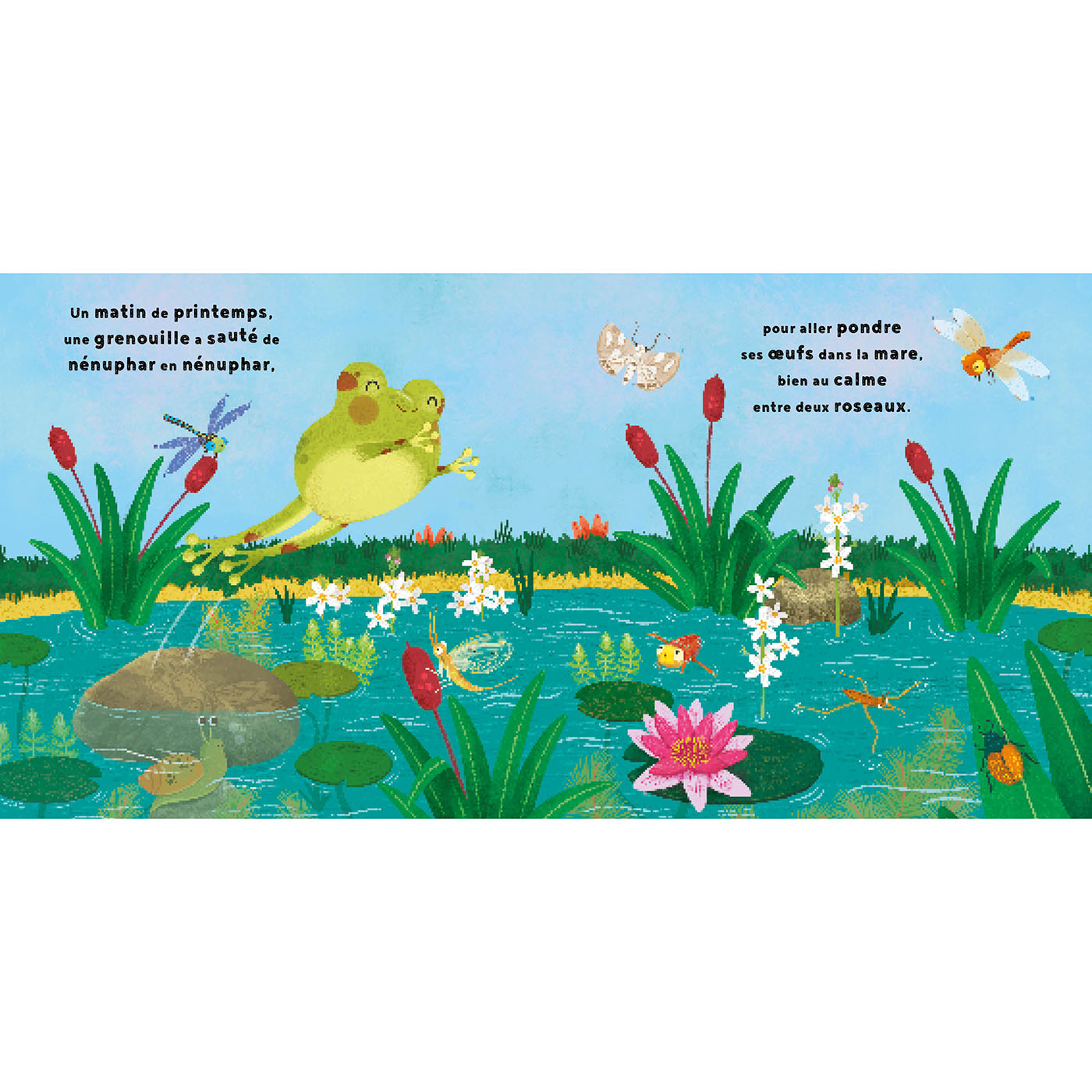 LA PETITE GRENOUILLE