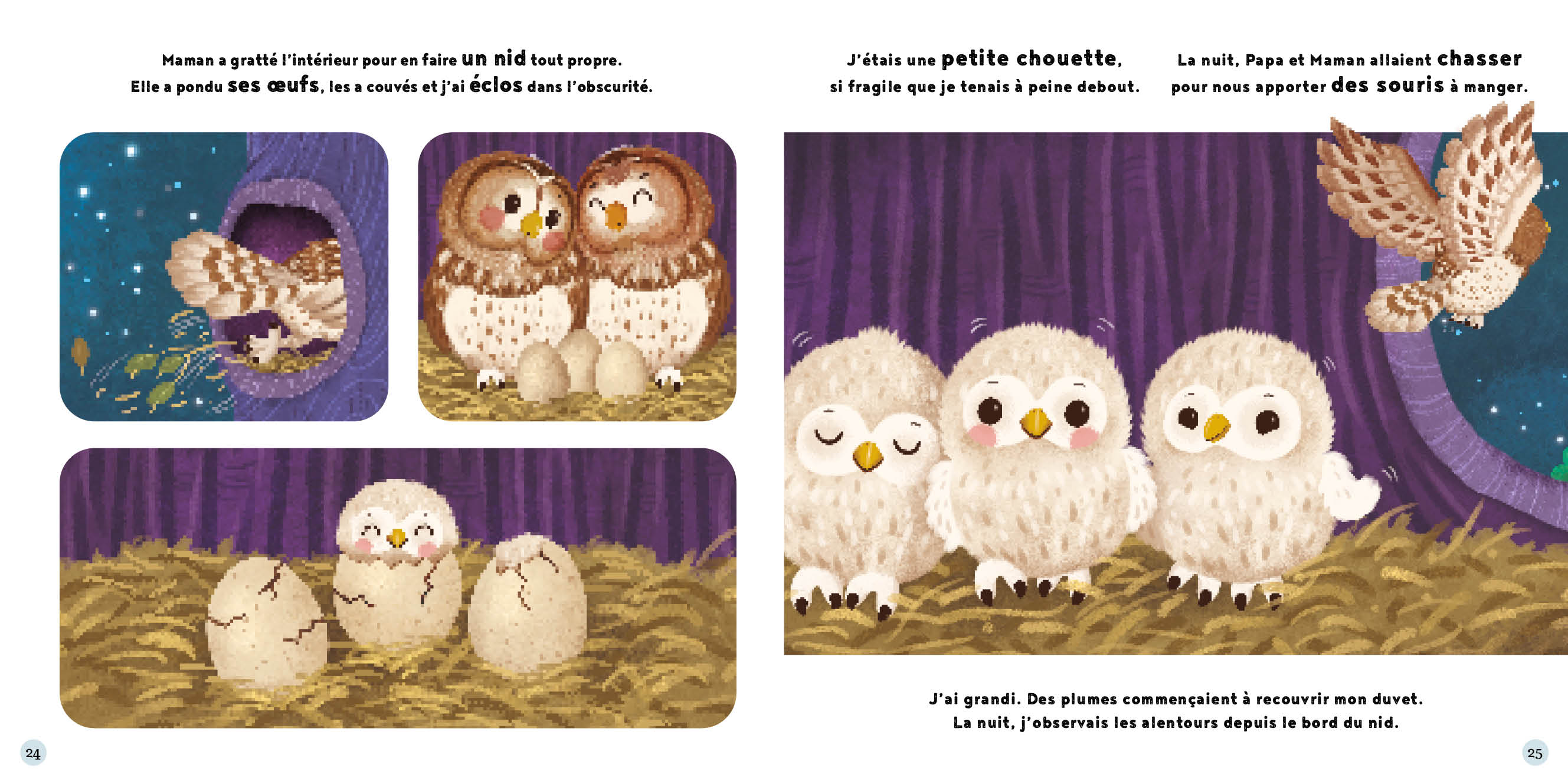 MES BELLES HISTOIRES DE LA NATURE 