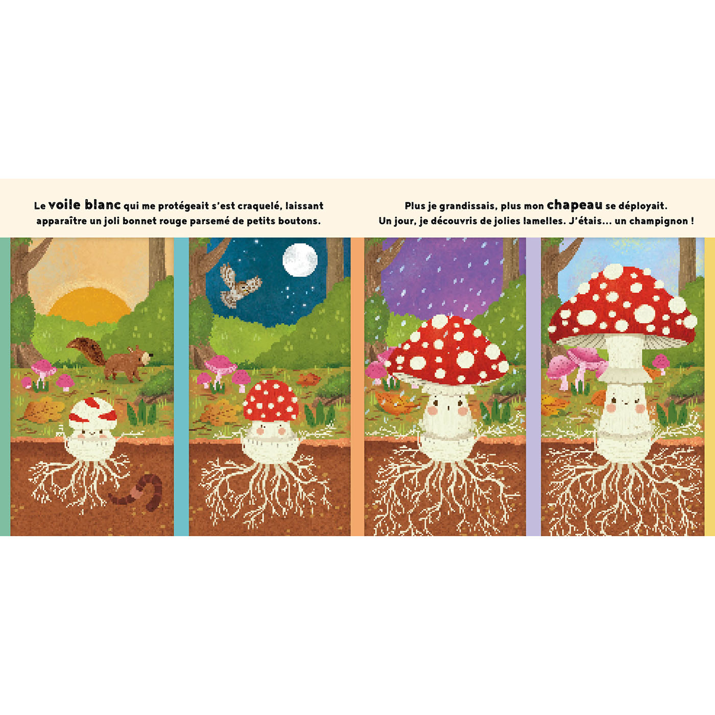 LE PETIT CHAMPIGNON