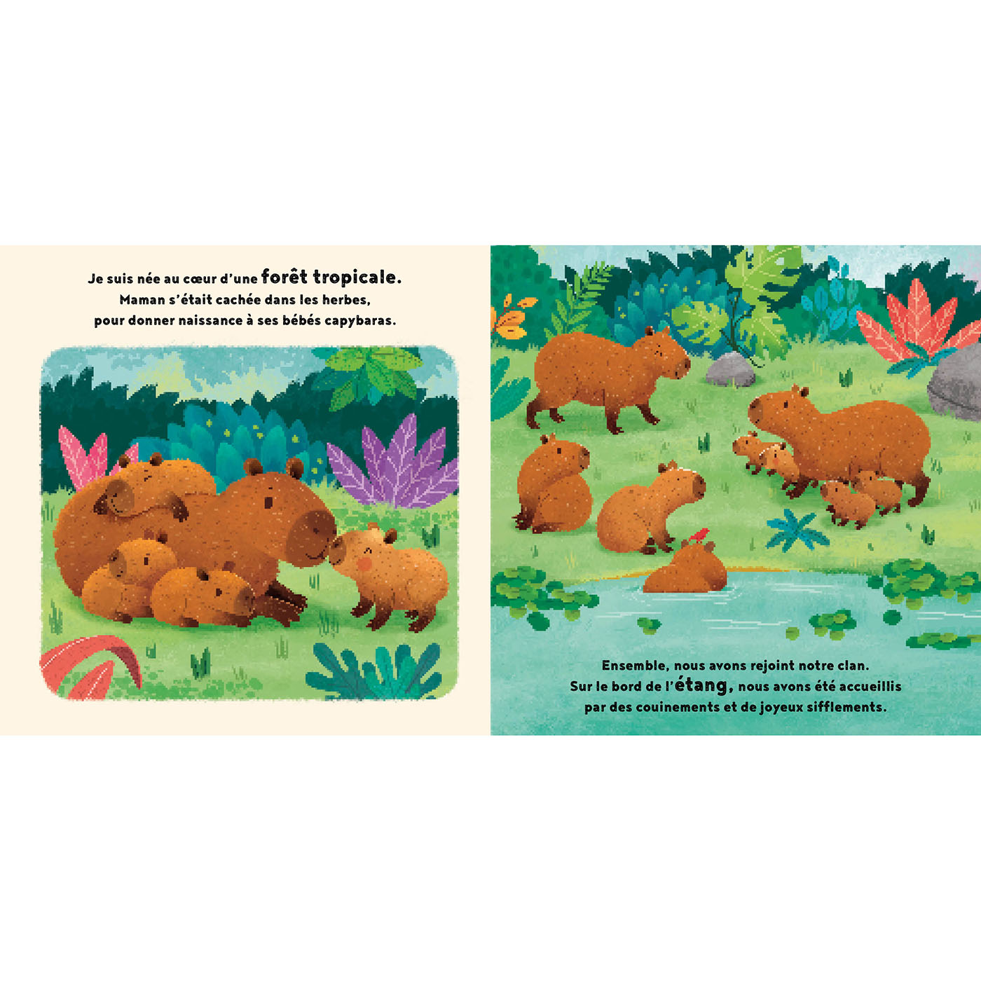 LE PETIT CAPYBARA