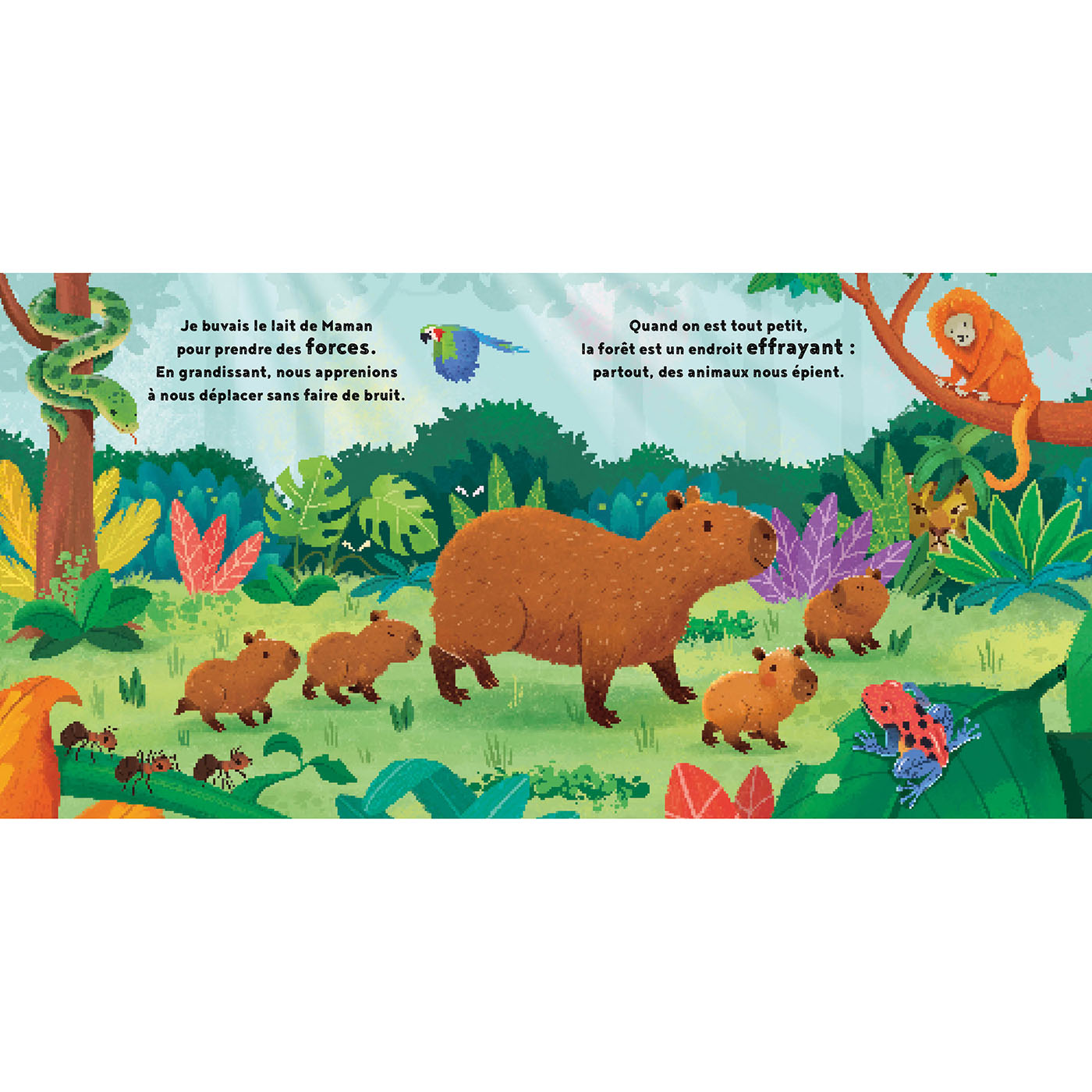 LE PETIT CAPYBARA