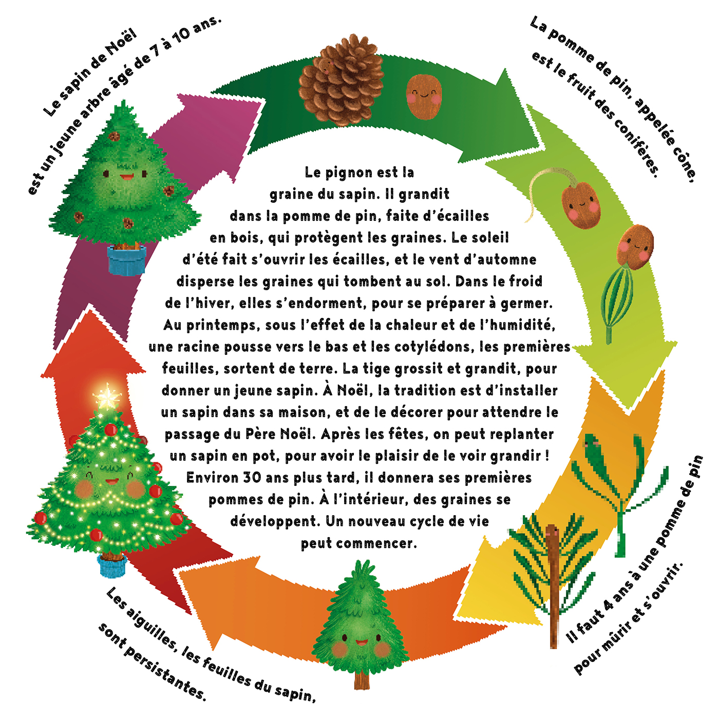 LE PETIT SAPIN DE NOEL
