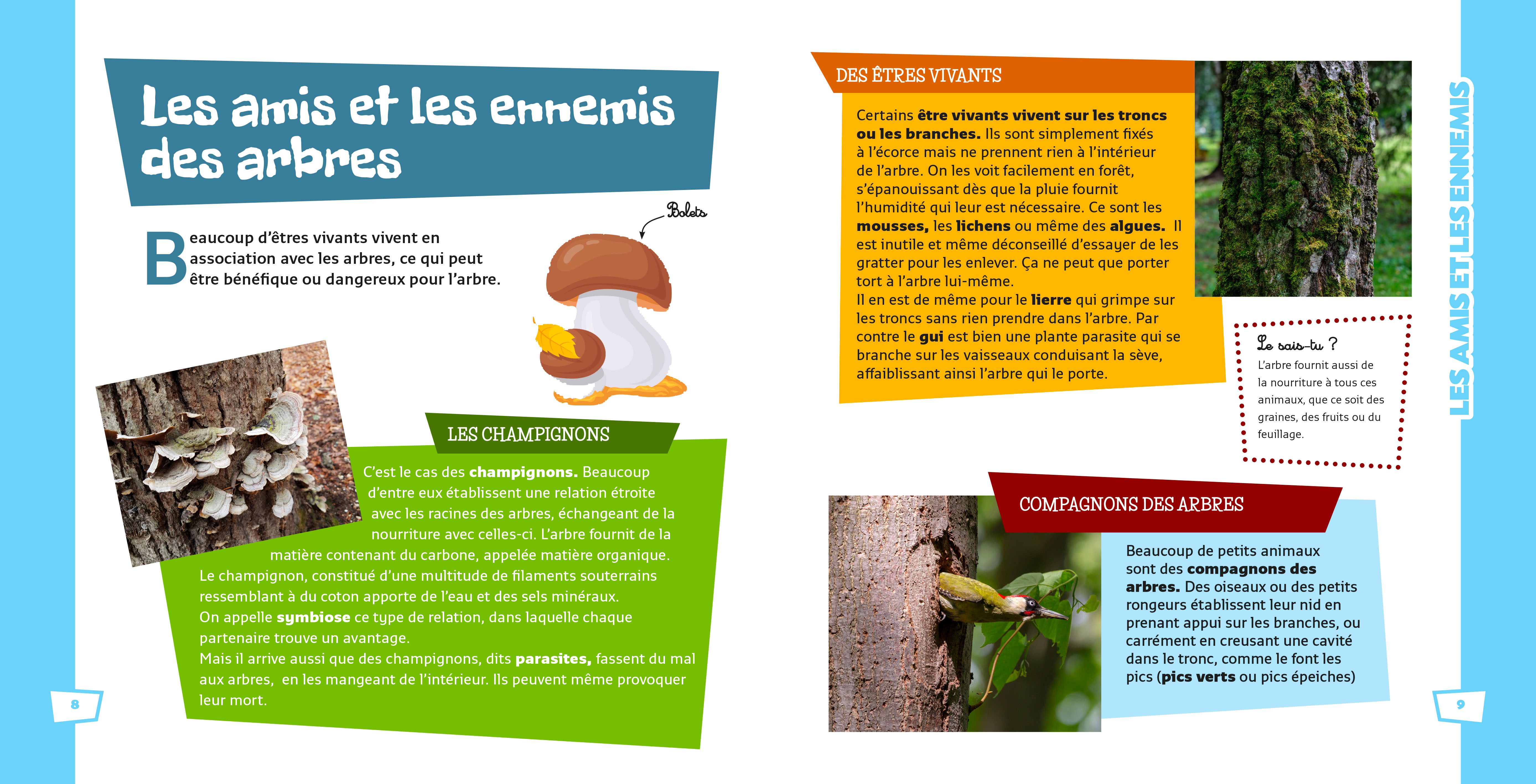 CONNAIS-TU LES ARBRES ?