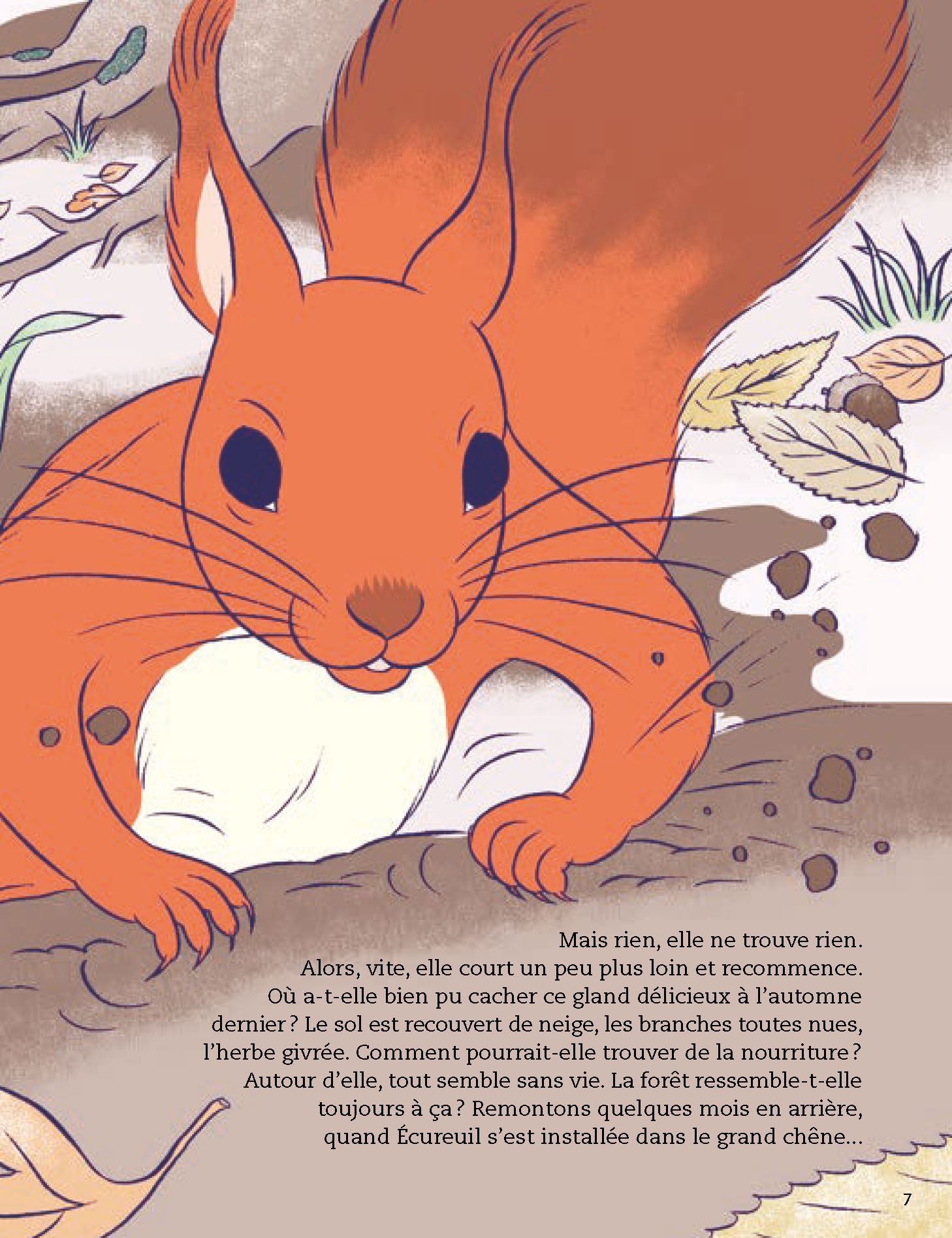 LA VIE DE LA FORET