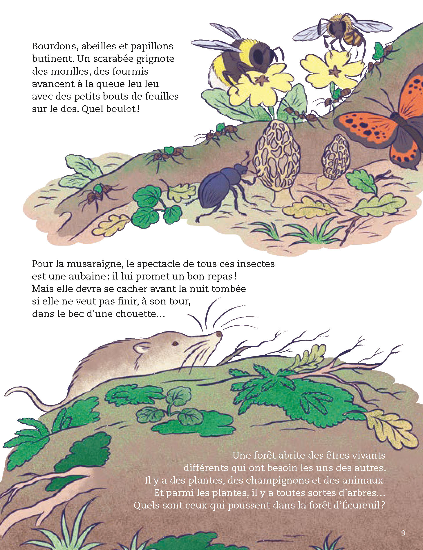 LA VIE DE LA FORET