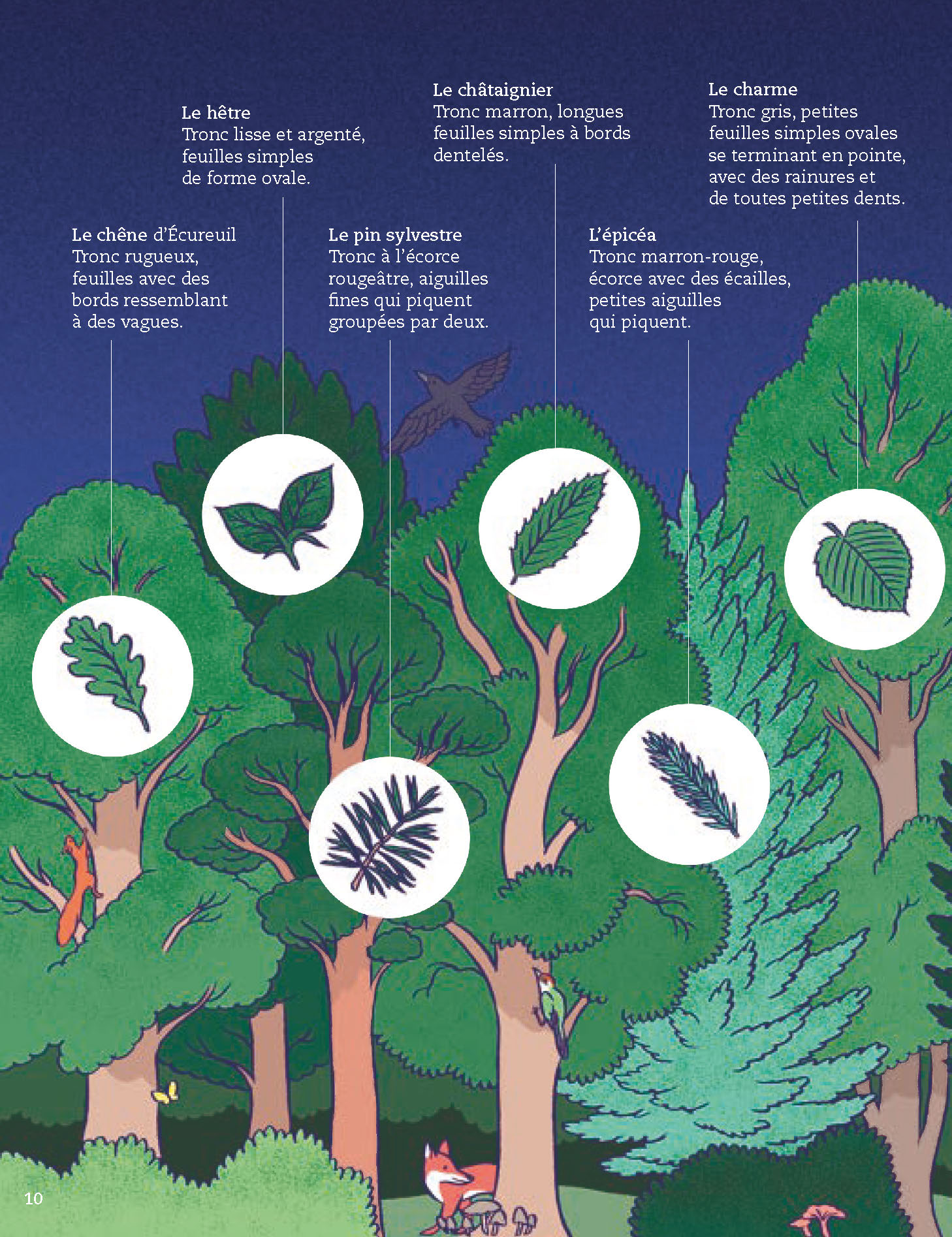 LA VIE DE LA FORET