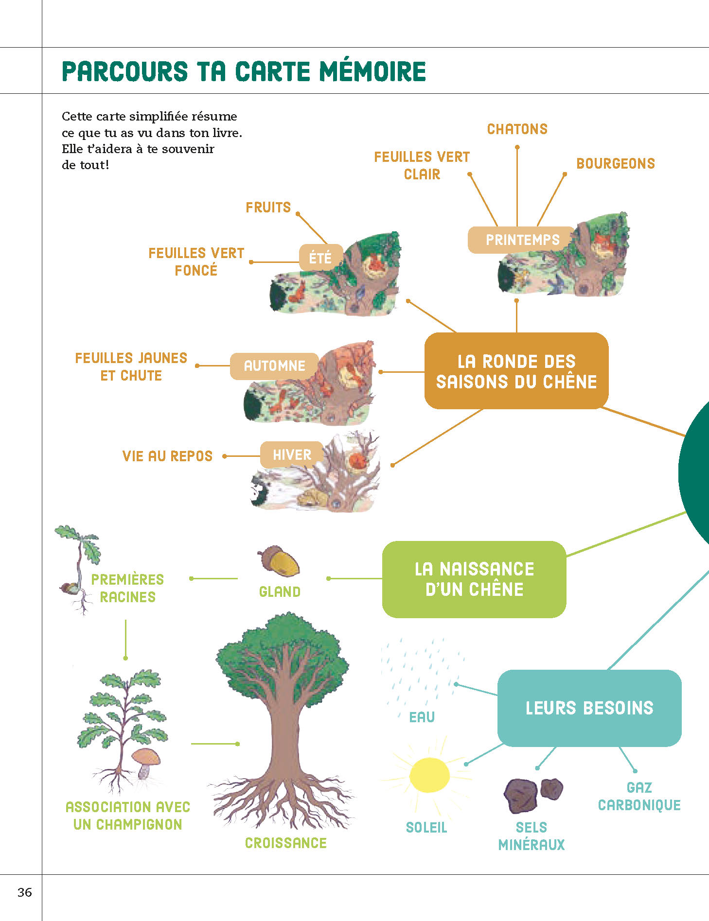 LA VIE DE LA FORET