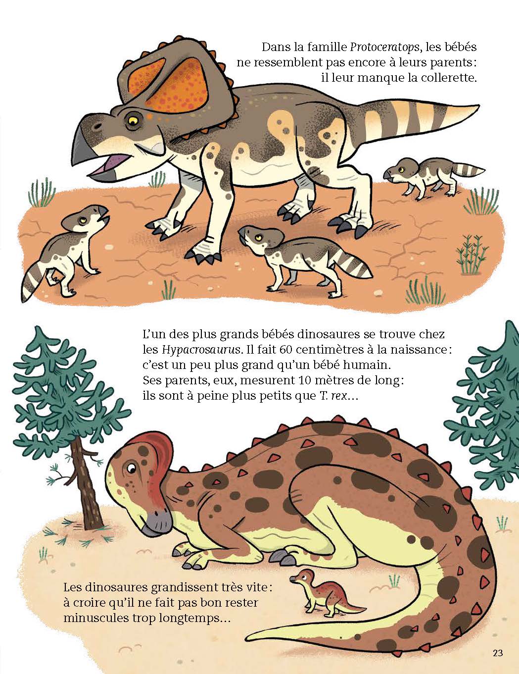 BEBES DINOSAURES