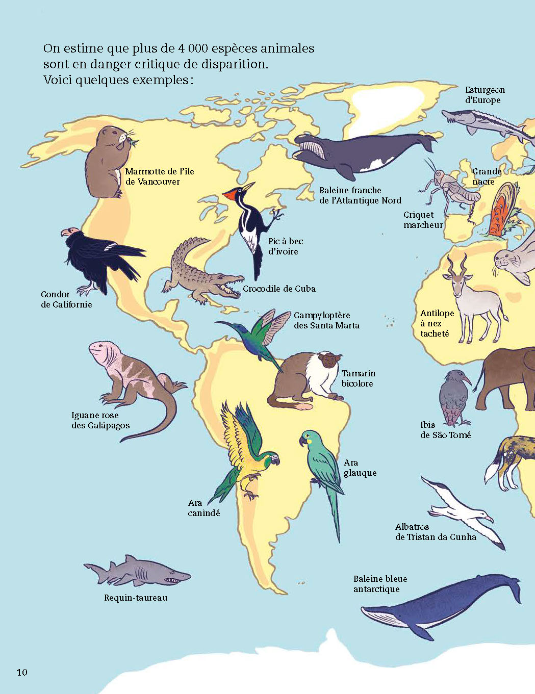 ANIMAUX A PROTEGER