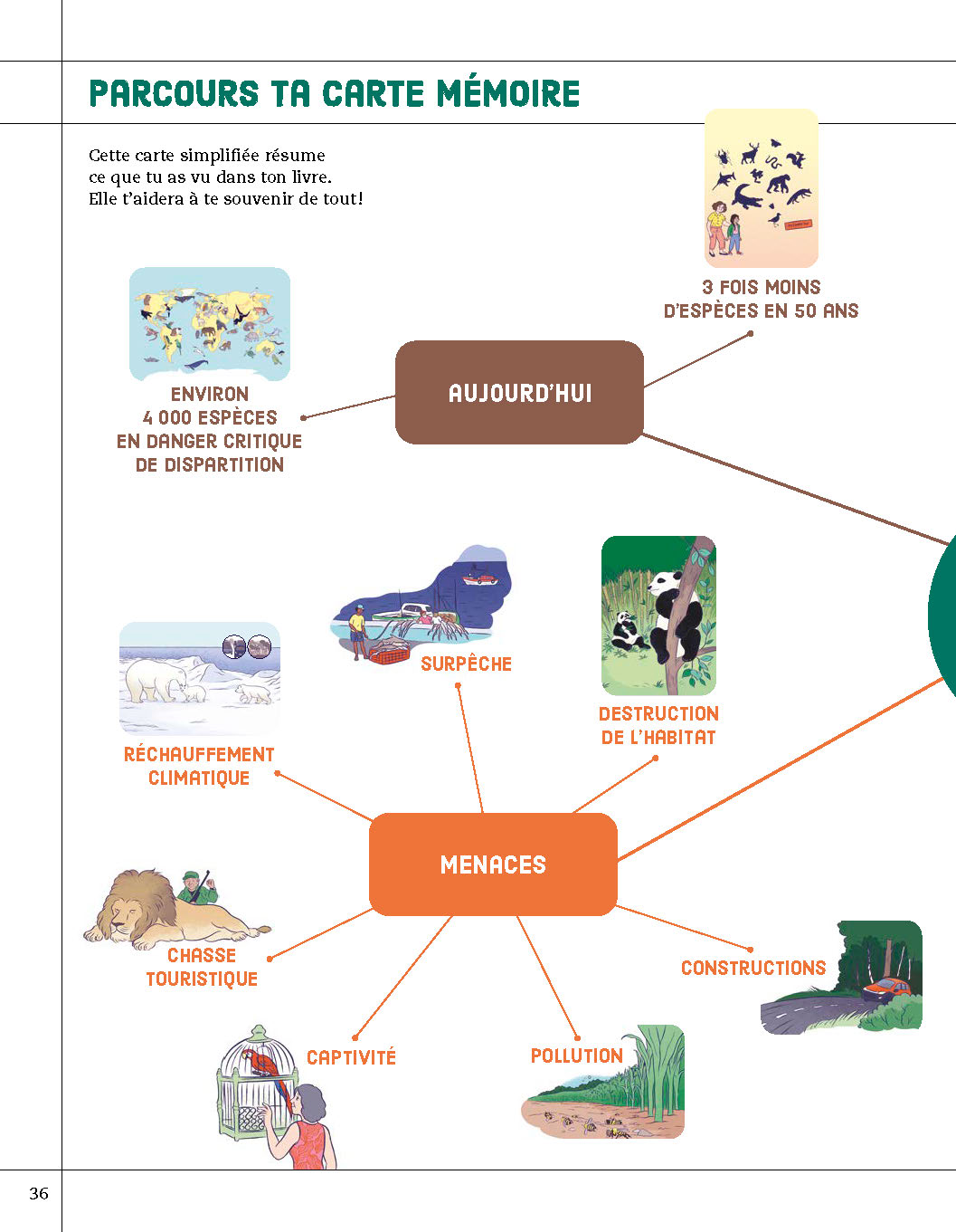 ANIMAUX A PROTEGER