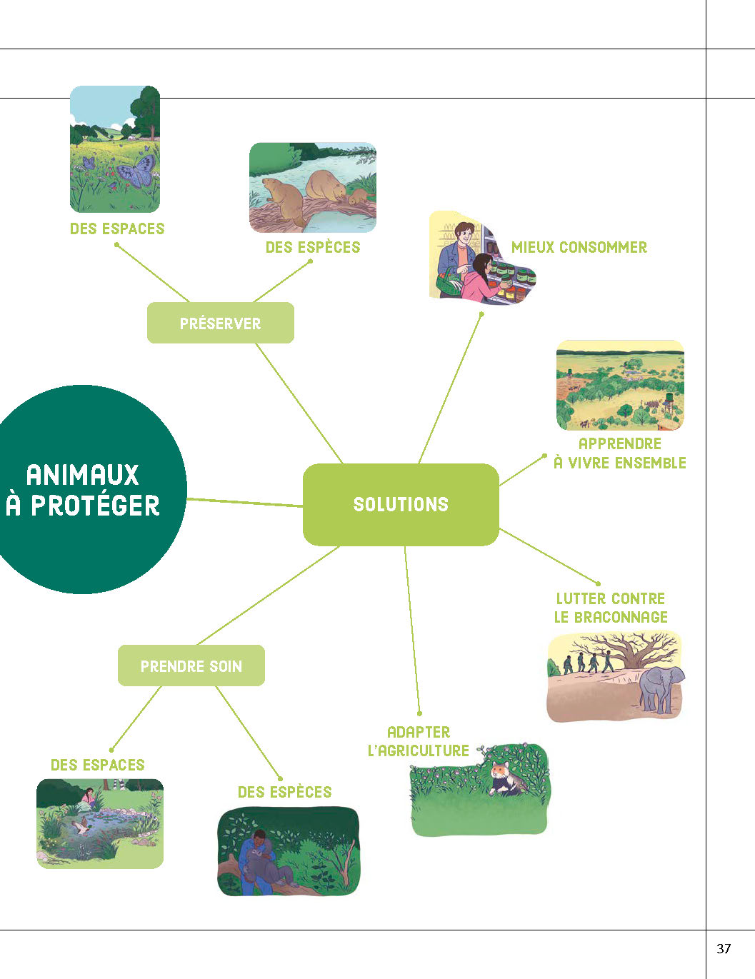 ANIMAUX A PROTEGER