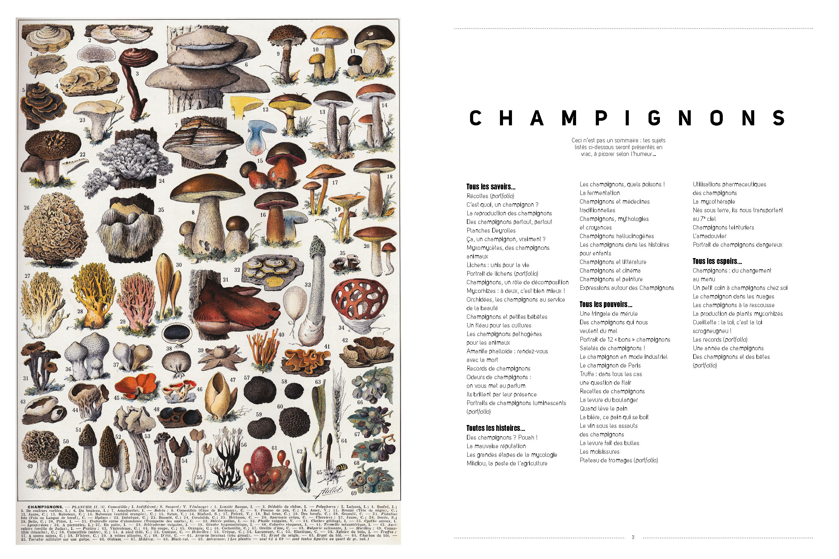 CHAMPIGNONS CHAMPIGNONS