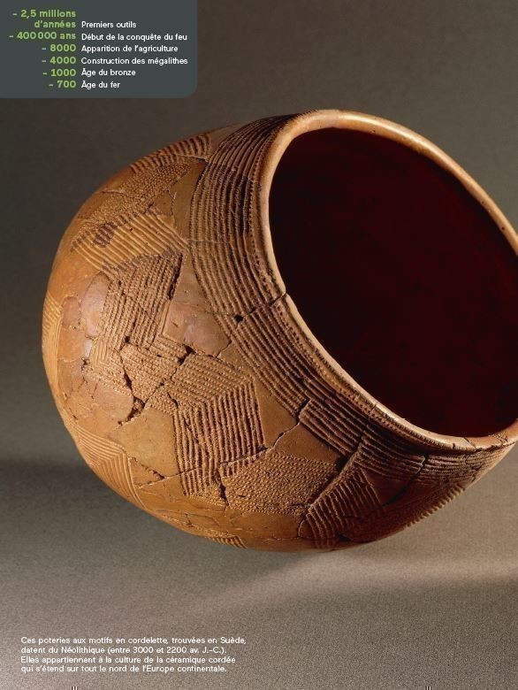 HISTOIRE DES SCIENCES ET TECHNIQUES (NE)