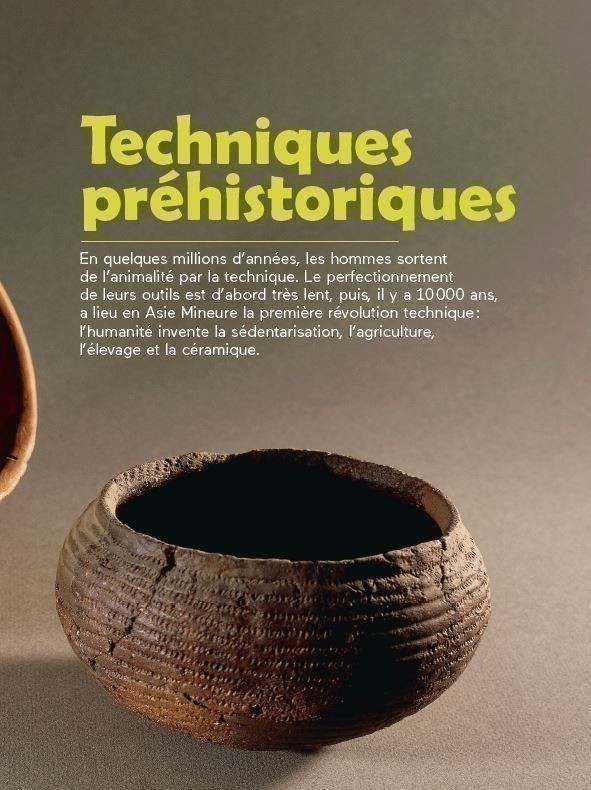 HISTOIRE DES SCIENCES ET TECHNIQUES (NE)