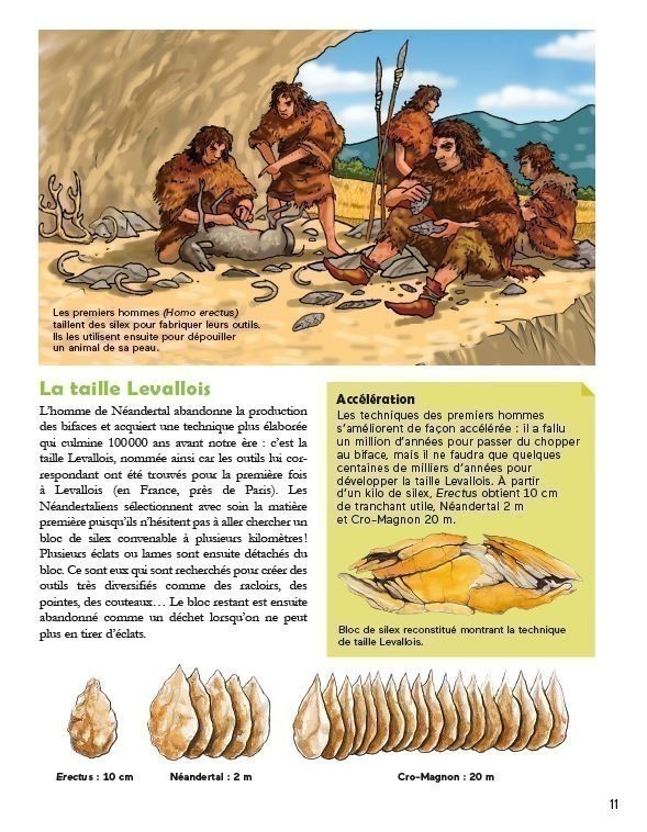HISTOIRE DES SCIENCES ET TECHNIQUES (NE)
