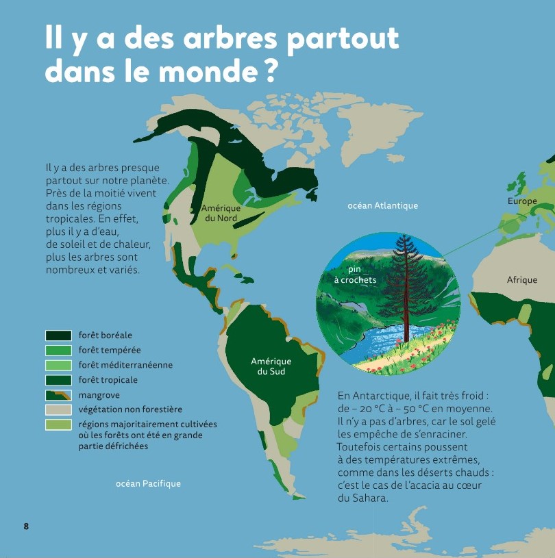 LES ARBRES
