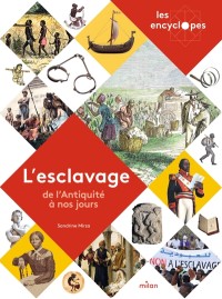 Voir les images