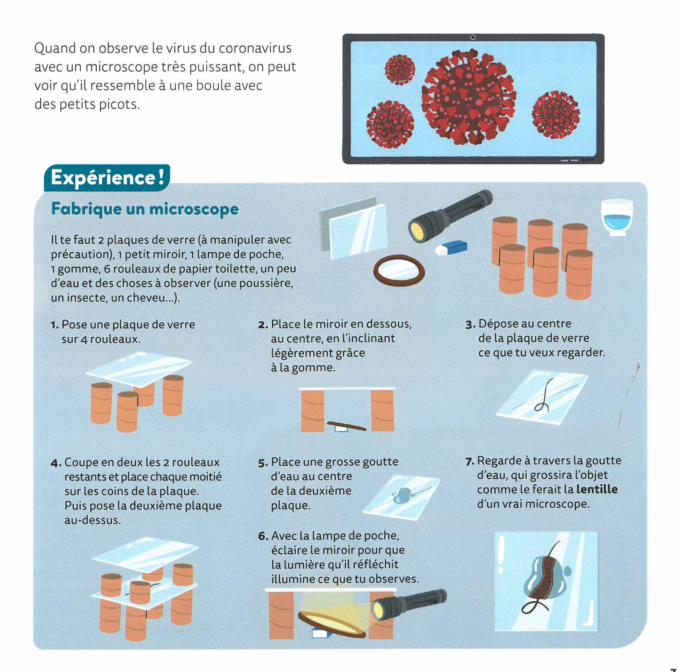 LES MICROBES LES MICROBES
