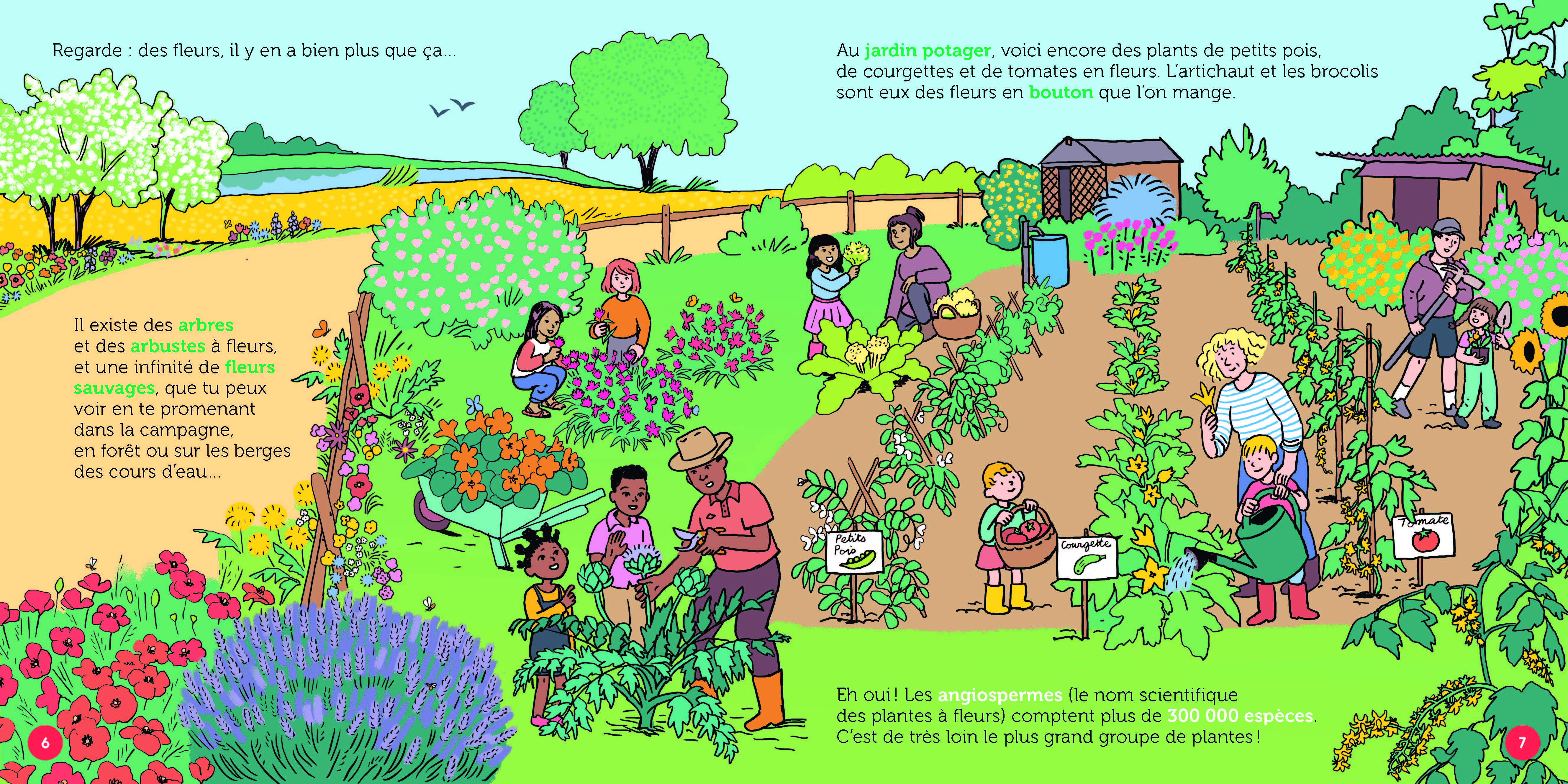 LES FLEURS : MERVEILLES SAUVAGES ET CULTIVEES