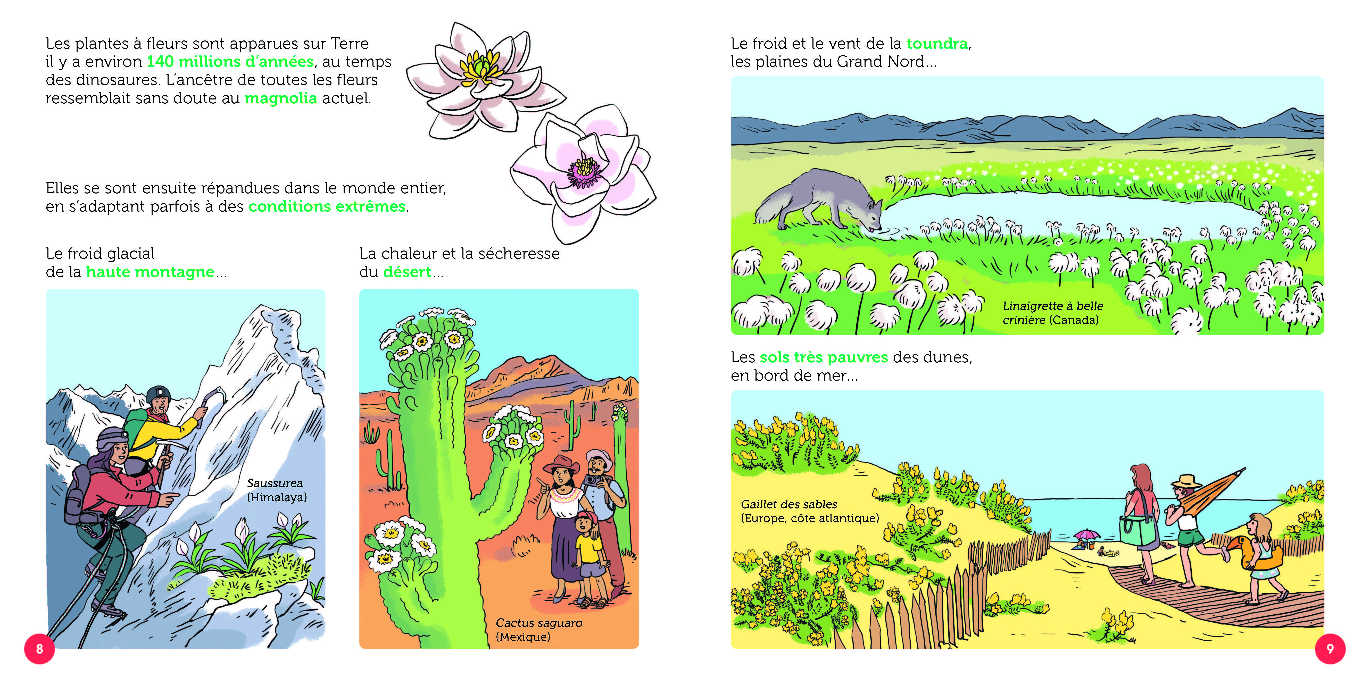 LES FLEURS : MERVEILLES SAUVAGES ET CULTIVEES