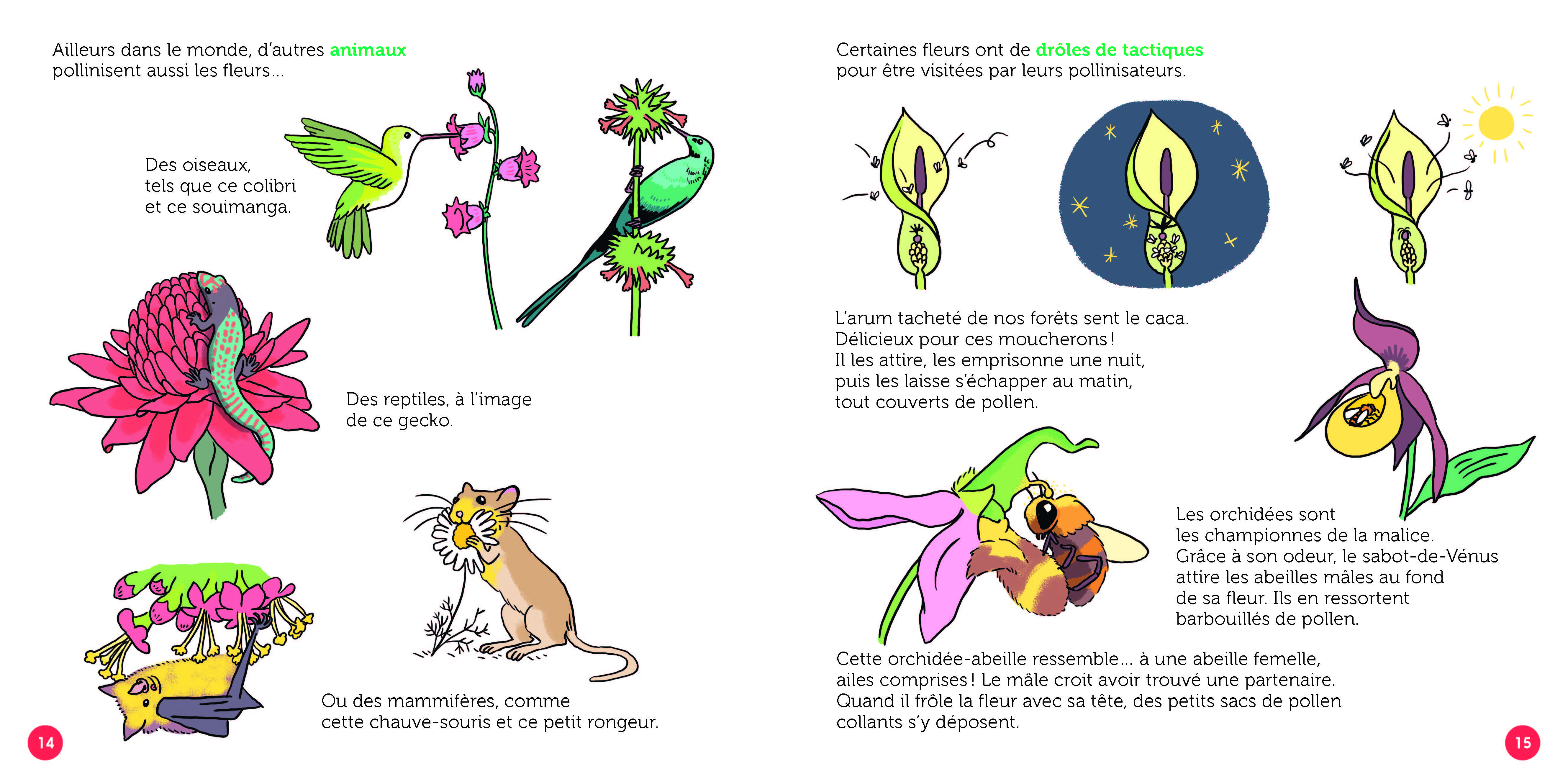 LES FLEURS : MERVEILLES SAUVAGES ET CULTIVEES