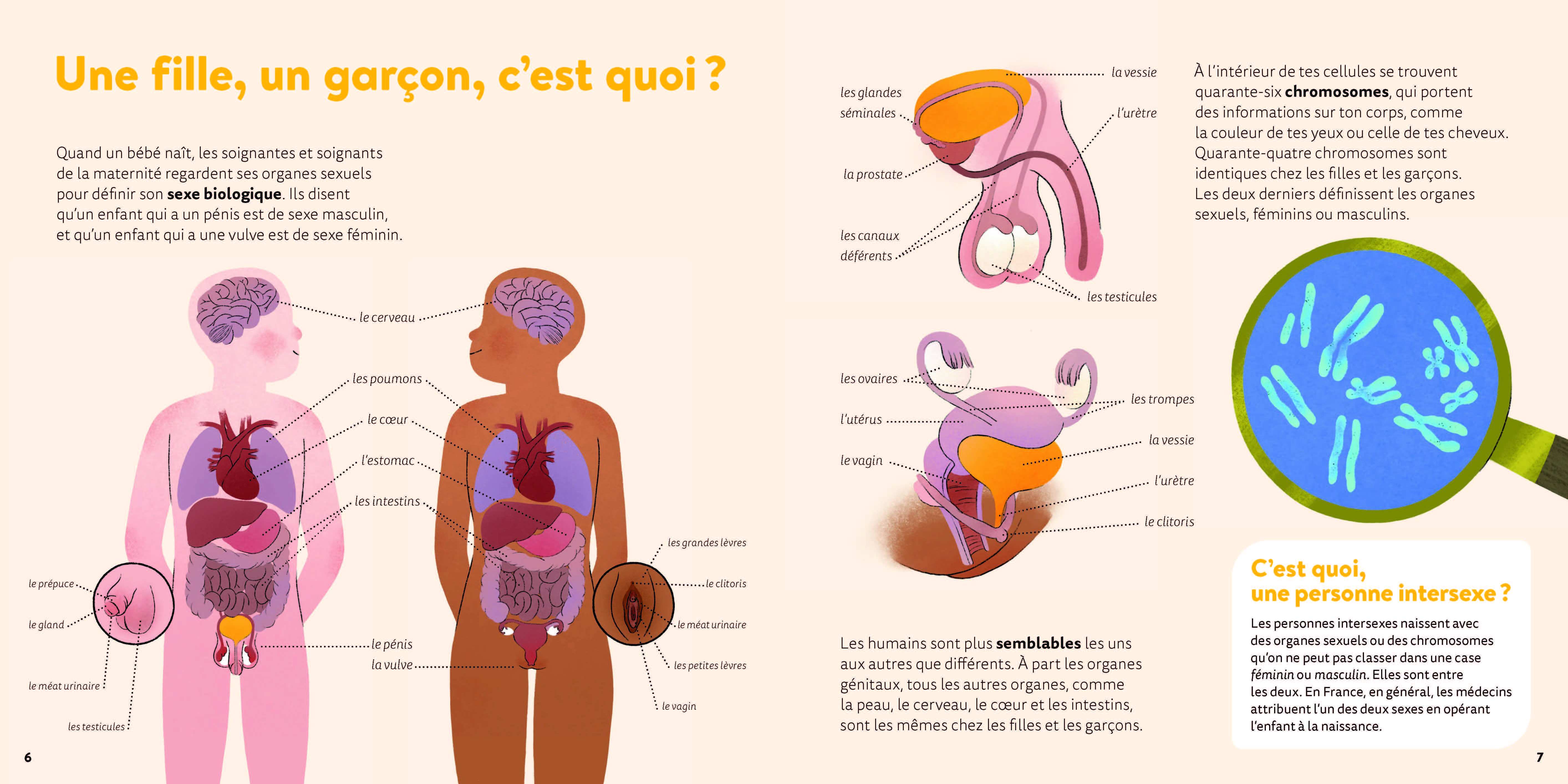 LES FILLES, LES GARCONS ET MOI