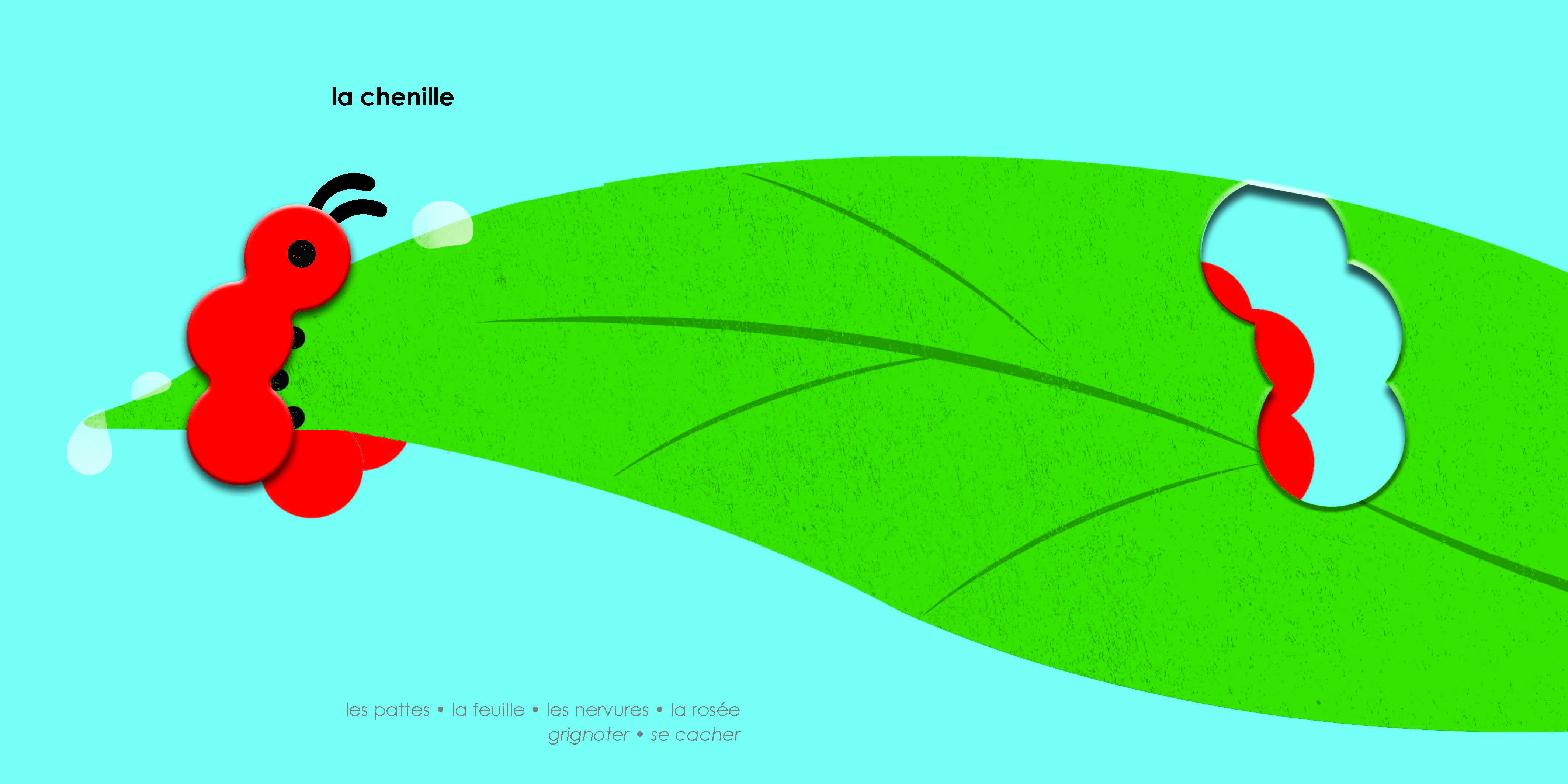 MES ANIMAUX DU JARDIN