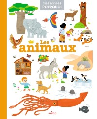 Voir les images