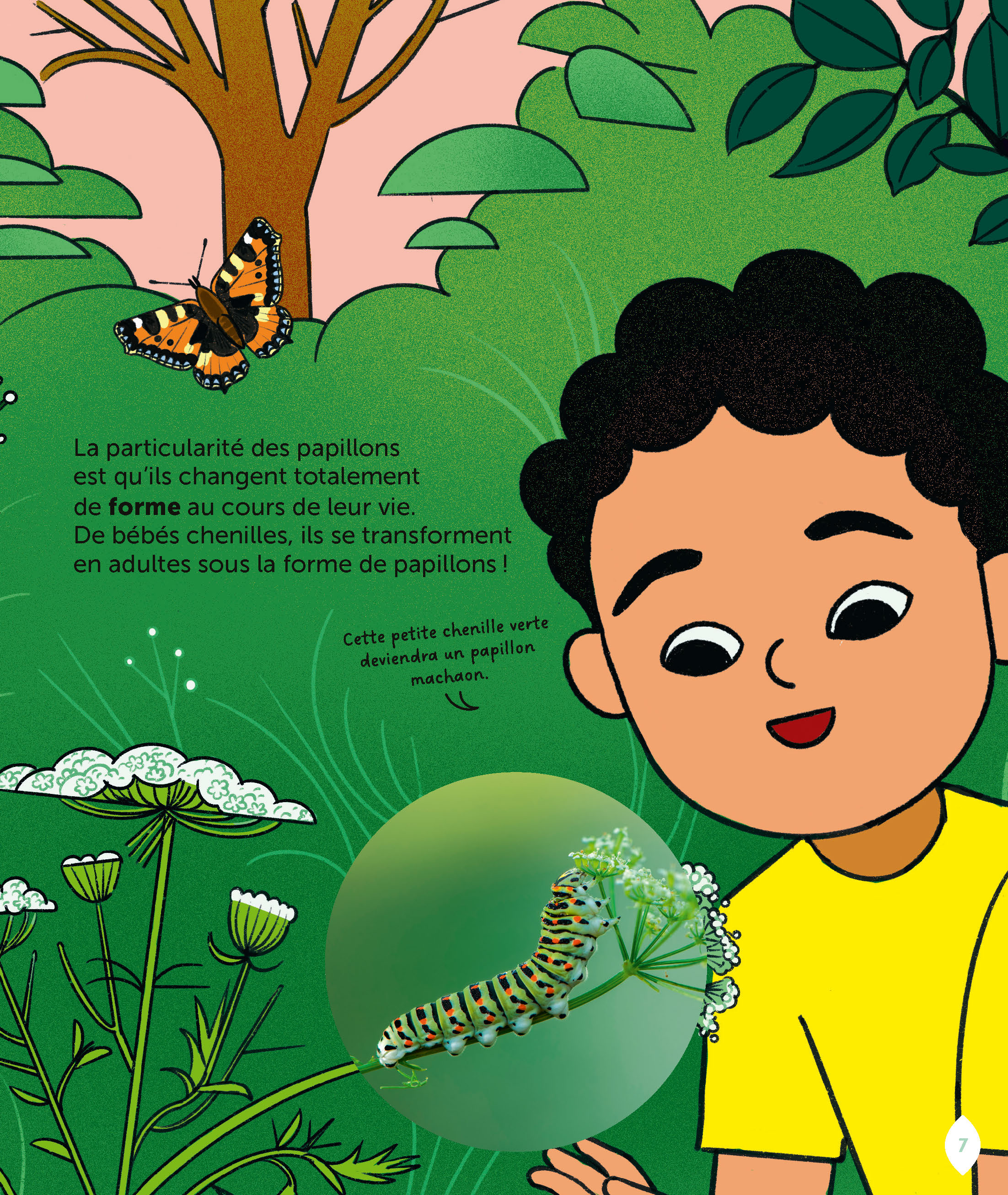 LE PAPILLON