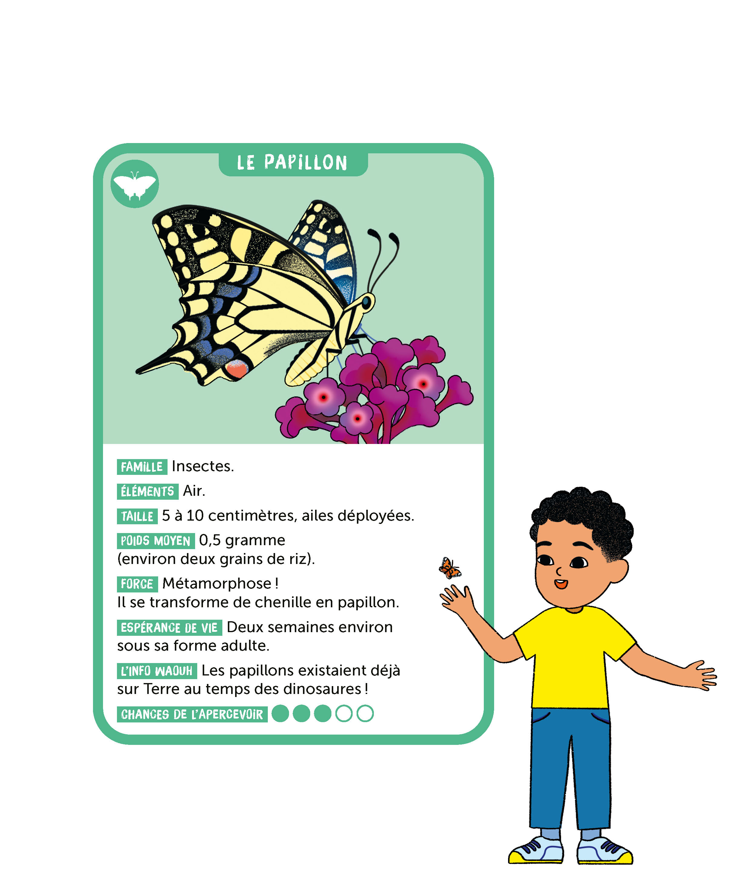 LE PAPILLON
