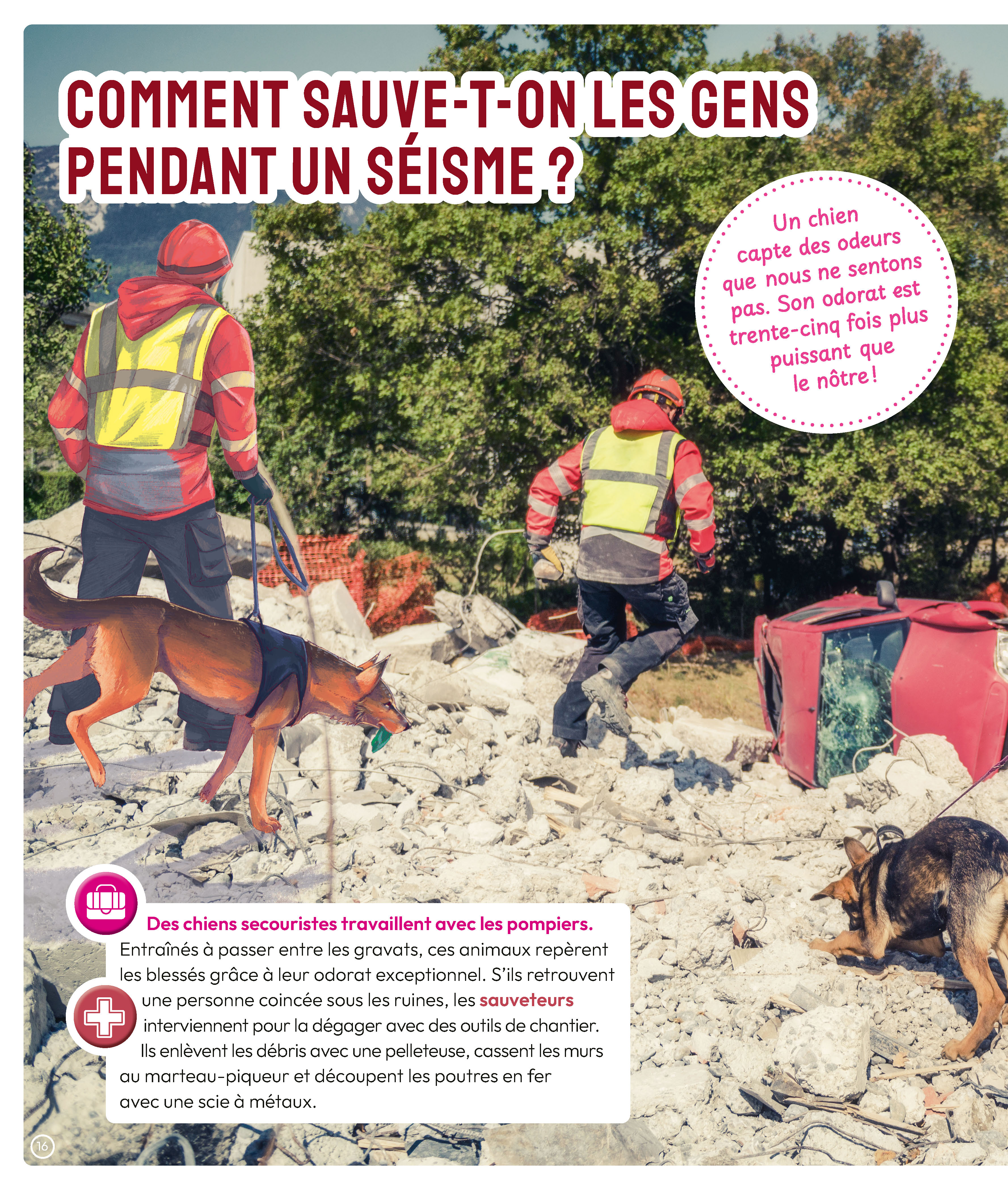 LES CATASTROPHES NATURELLES