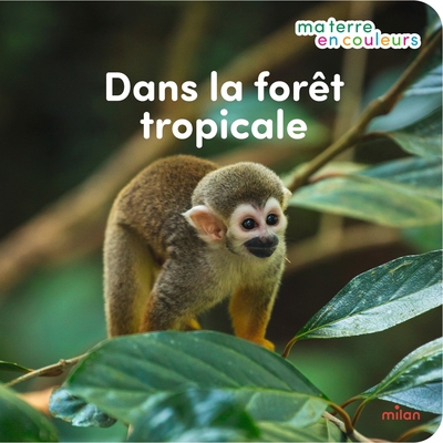 DANS LA FORET TROPICALE