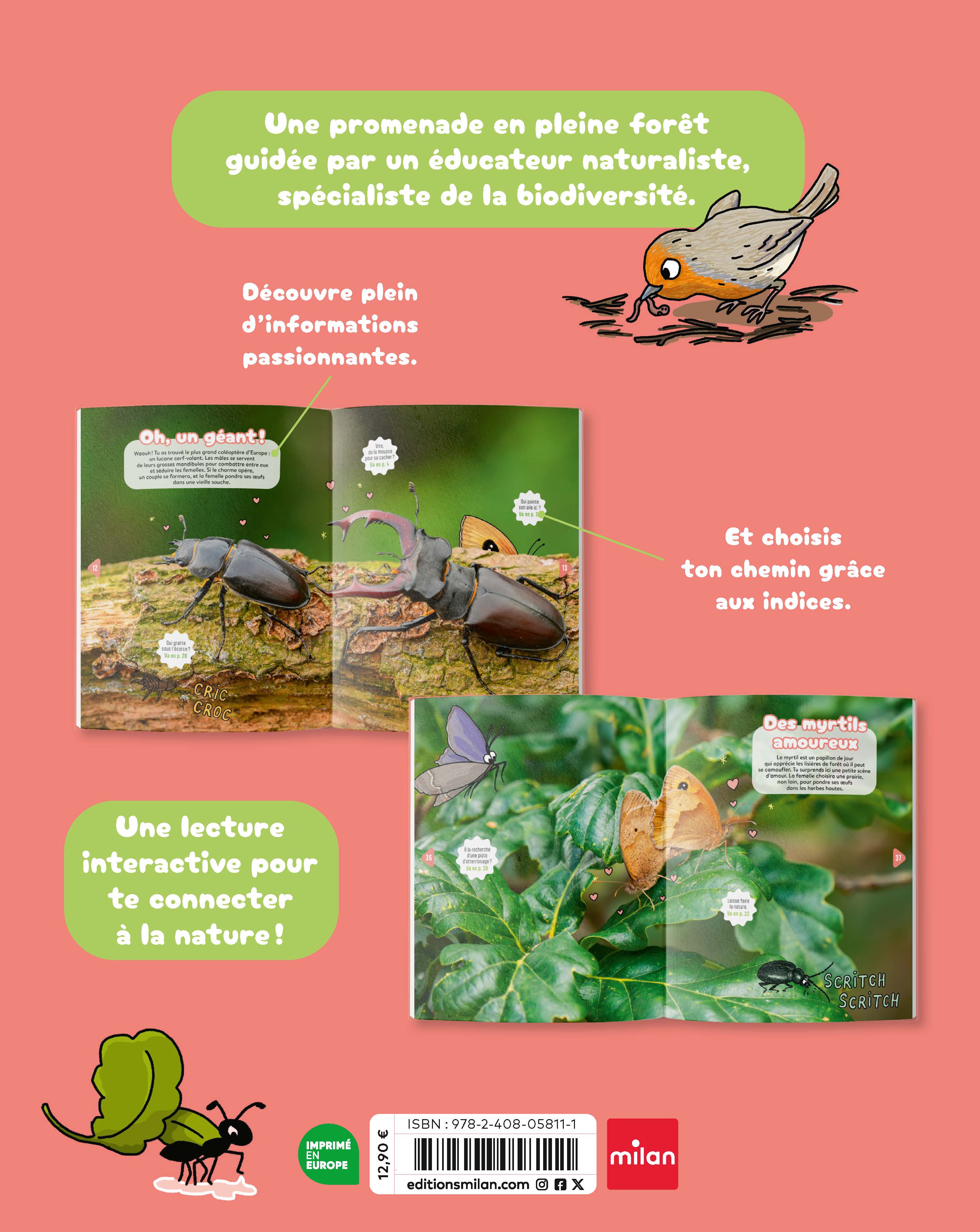 PROMENONS-NOUS EN FORET