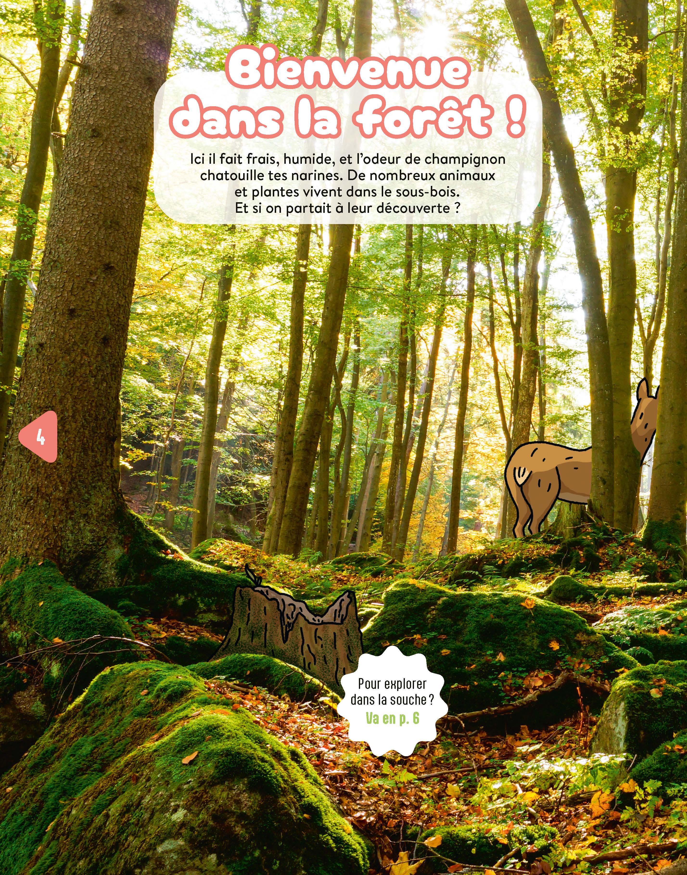 PROMENONS-NOUS EN FORET
