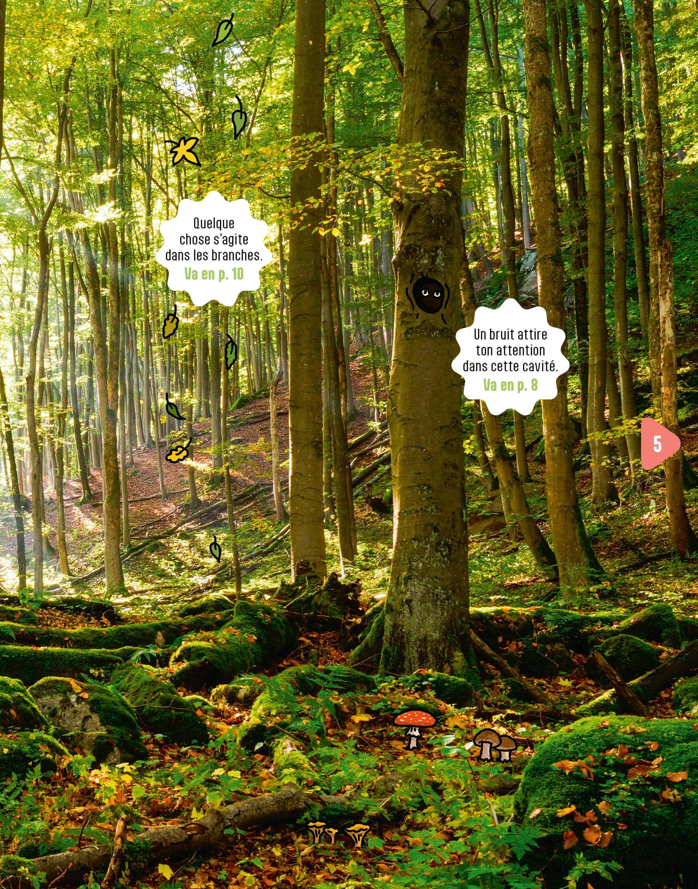 PROMENONS-NOUS EN FORET