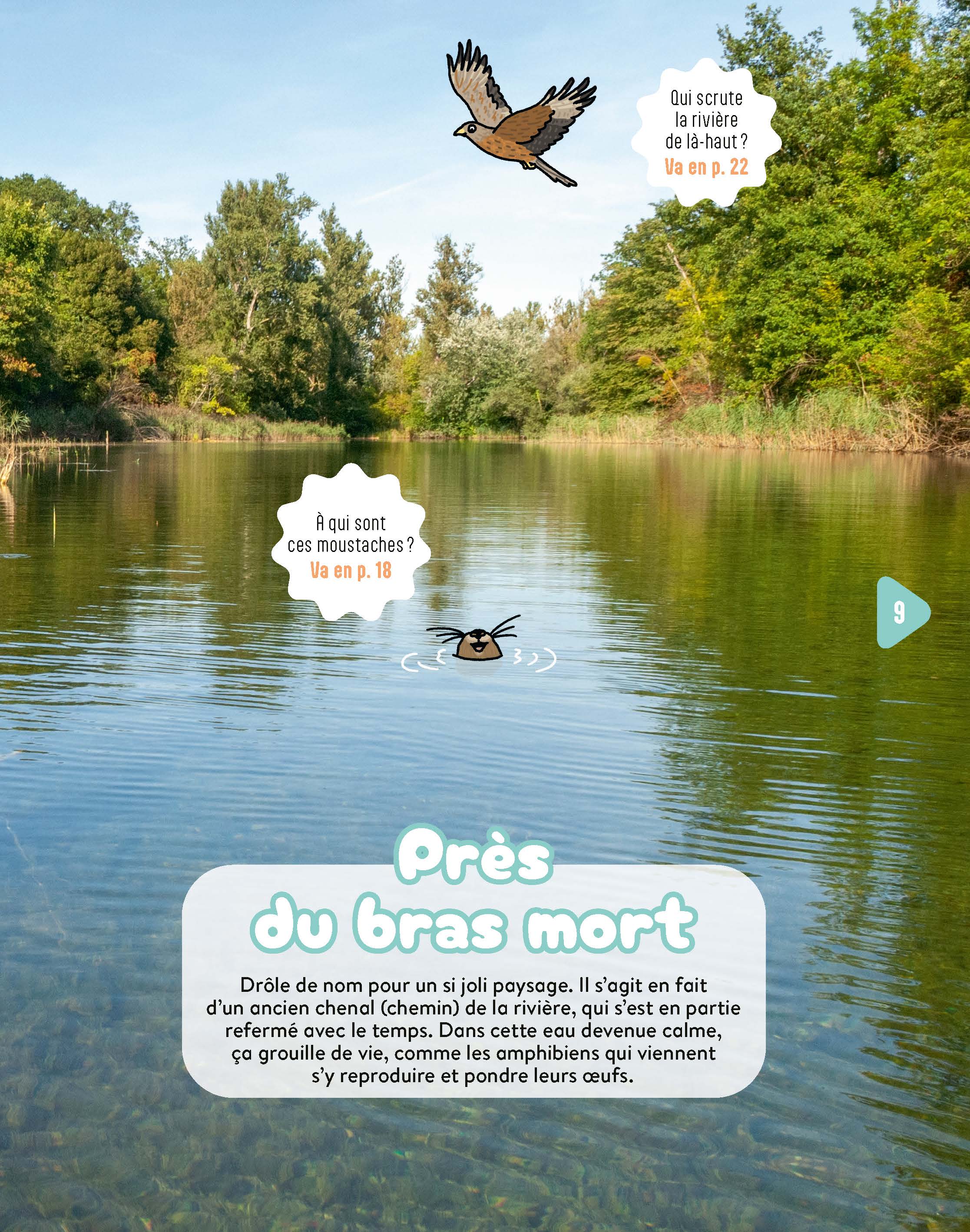 PROMENONS-NOUS AU BORD DE LA RIVIERE