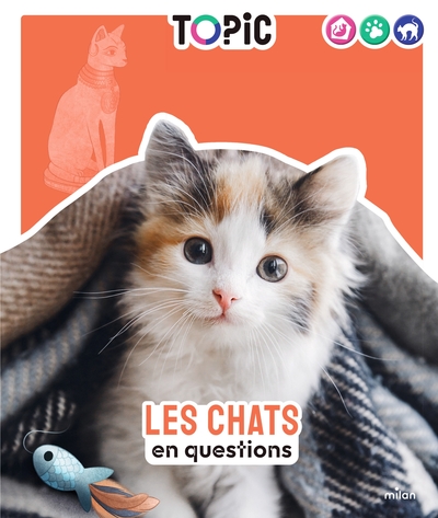 LES CHATS