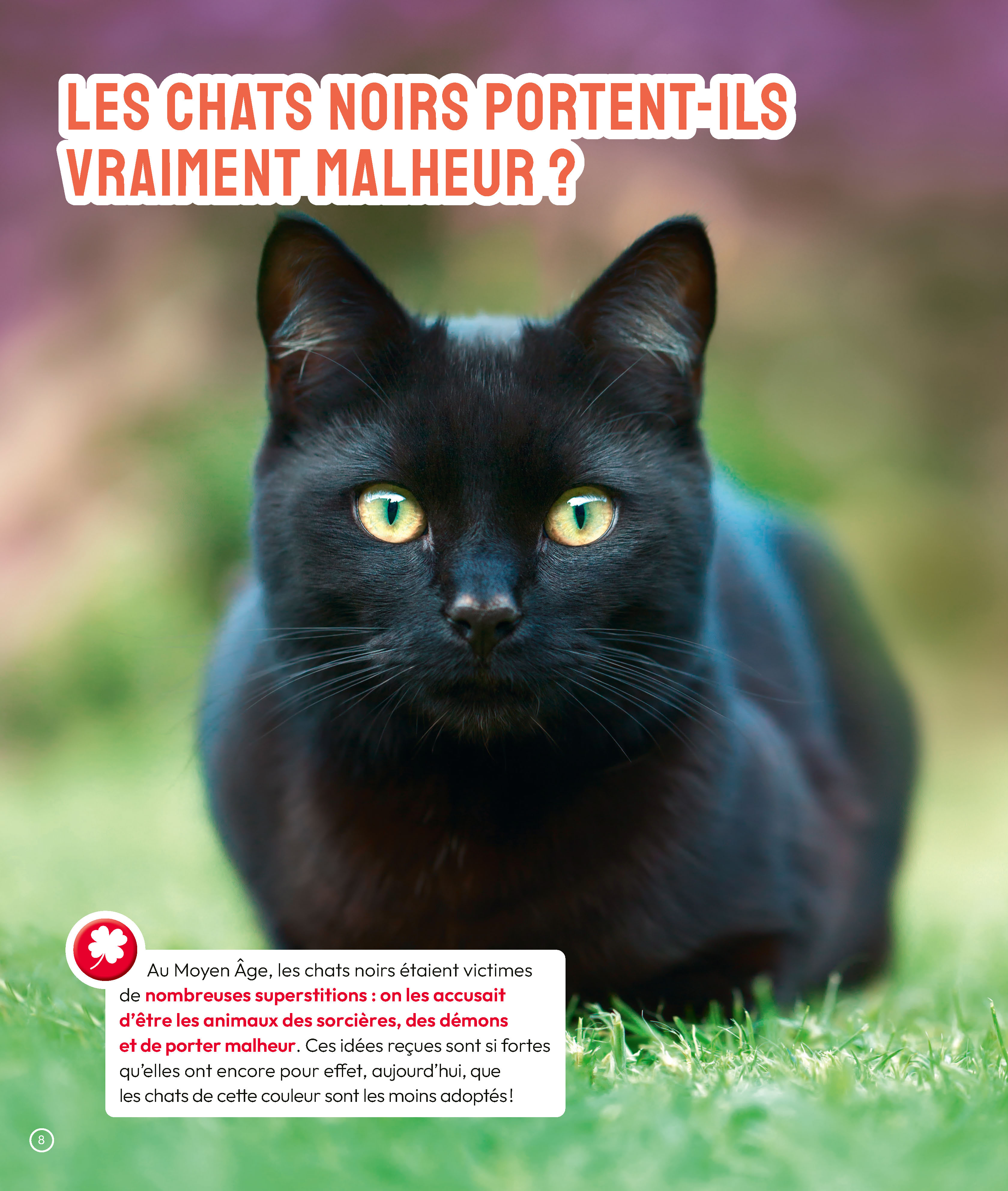 LES CHATS